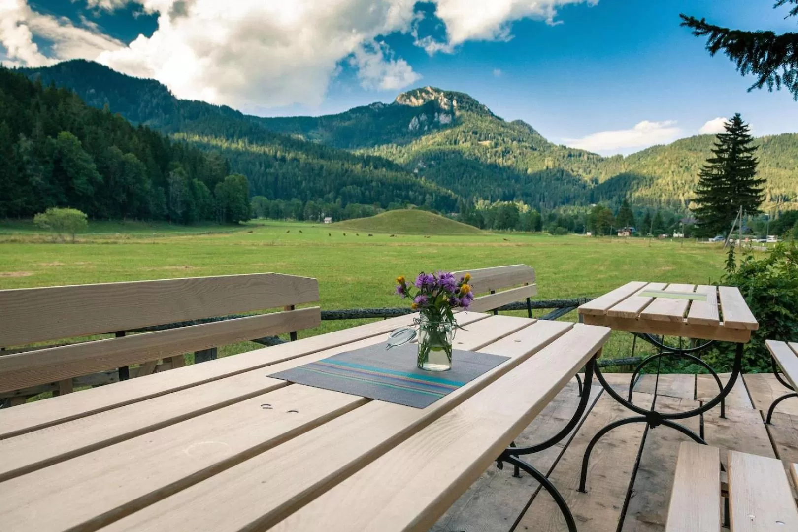 Mountain View in Cvet gora - Camping, Glamping and Accomodations