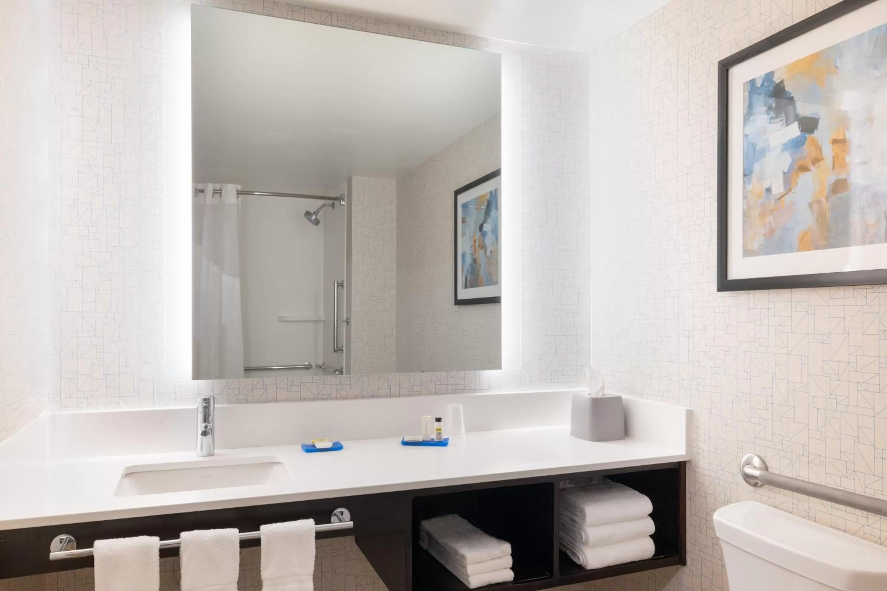 Bathroom in Holiday Inn Express & Suites Boston - Cambridge by IHG