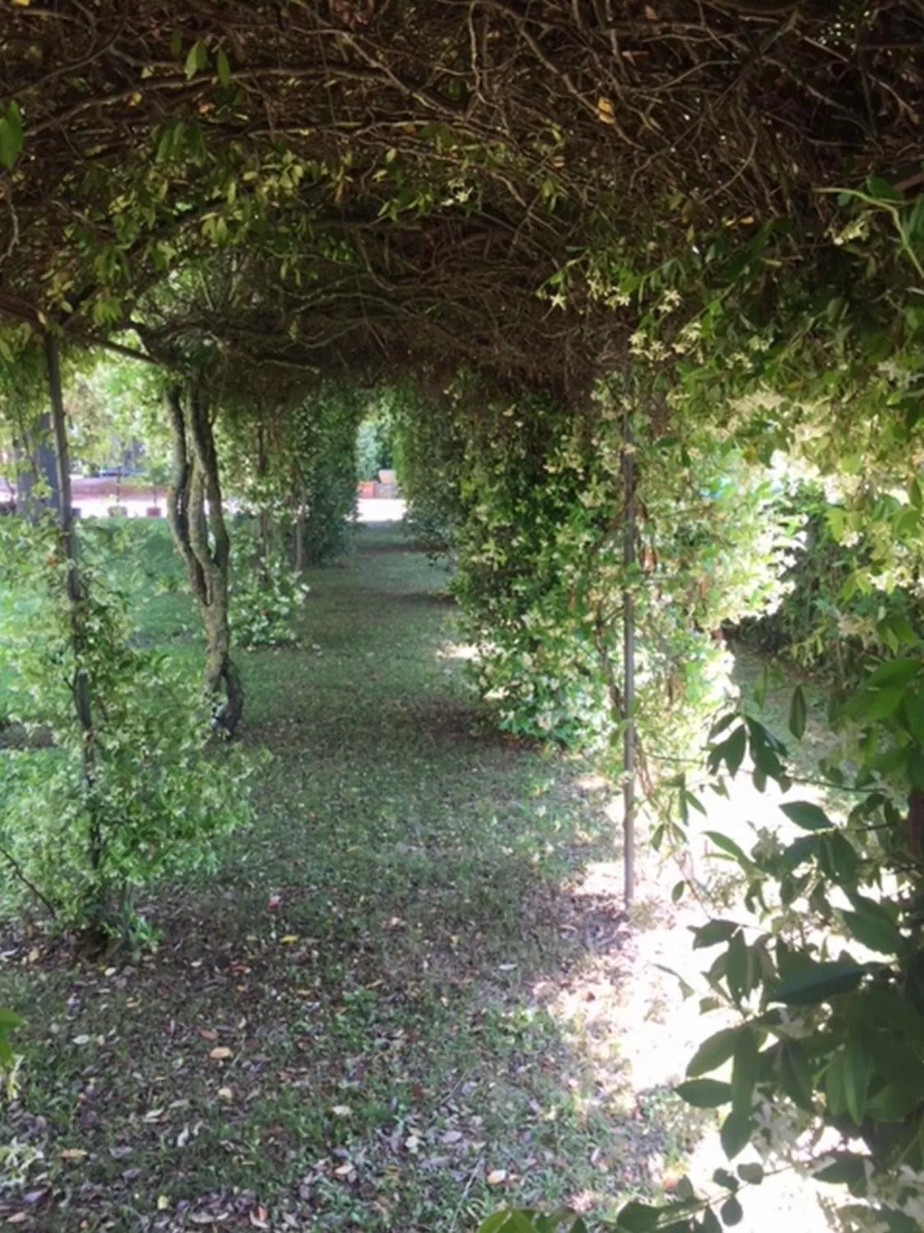 Property building in Relais Montemaggiore