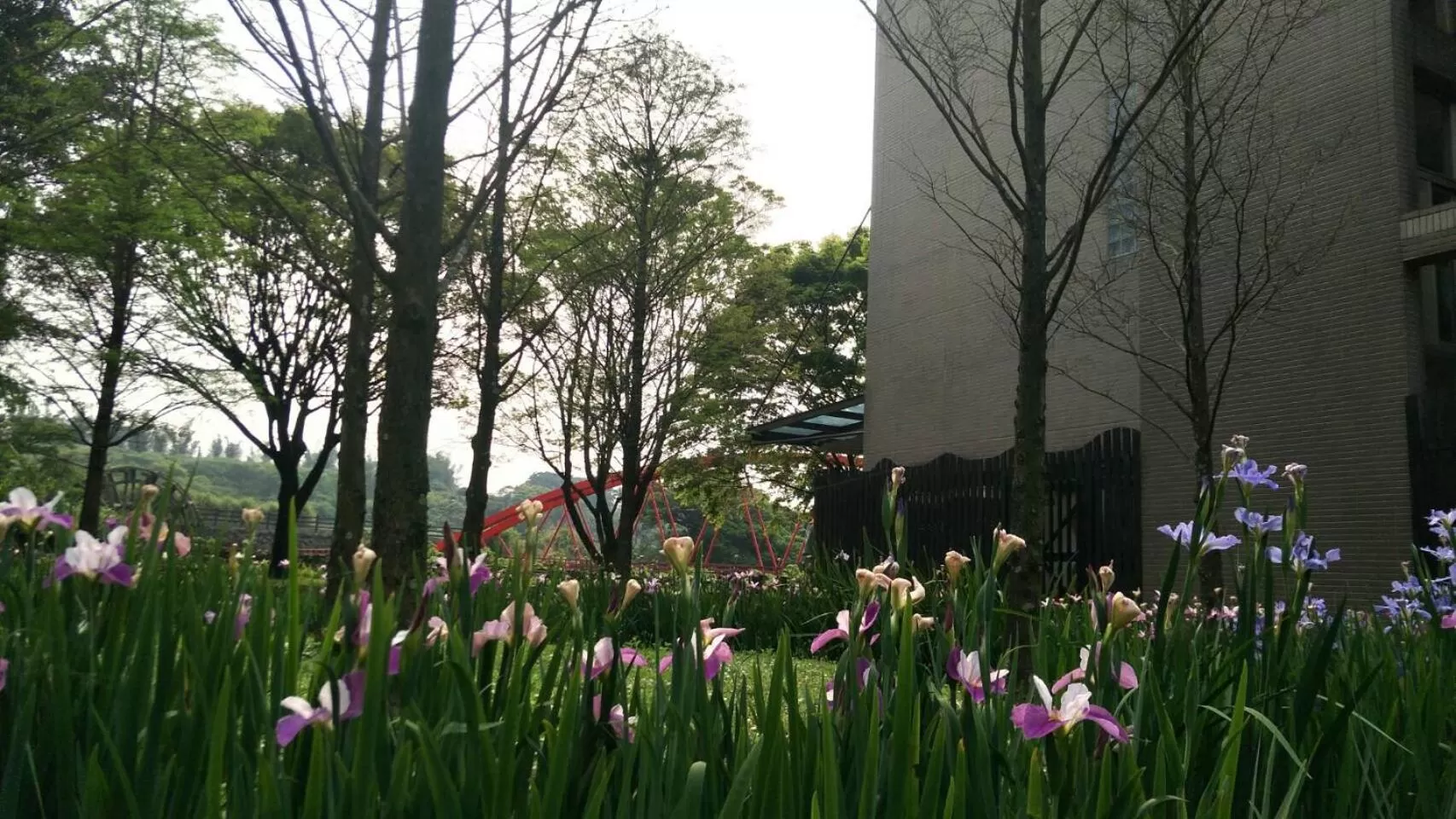 Property Building in Rainbow Bridge B&B