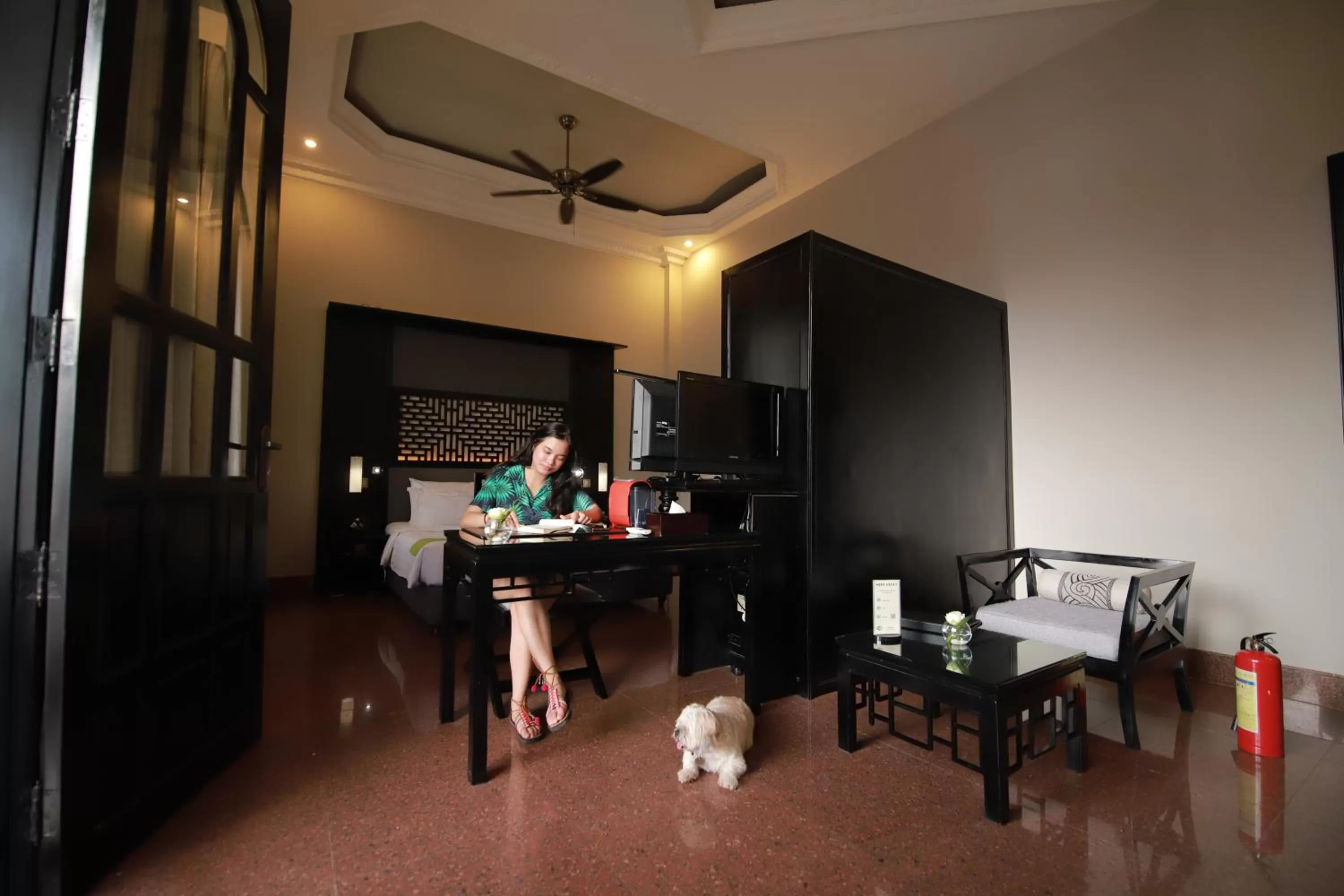 Pets in White Mansion 白色公馆