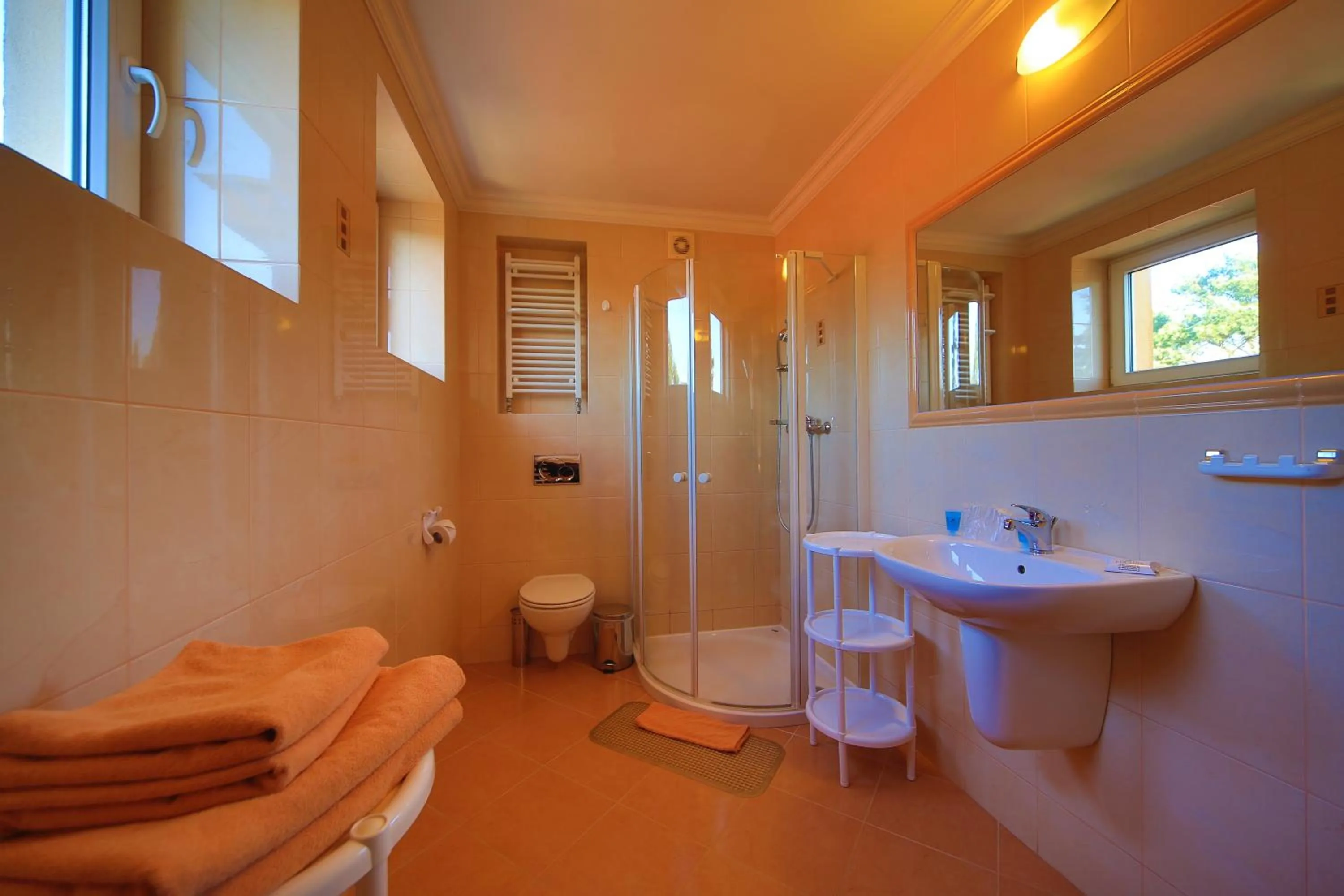 Shower in Hotel Polaris III