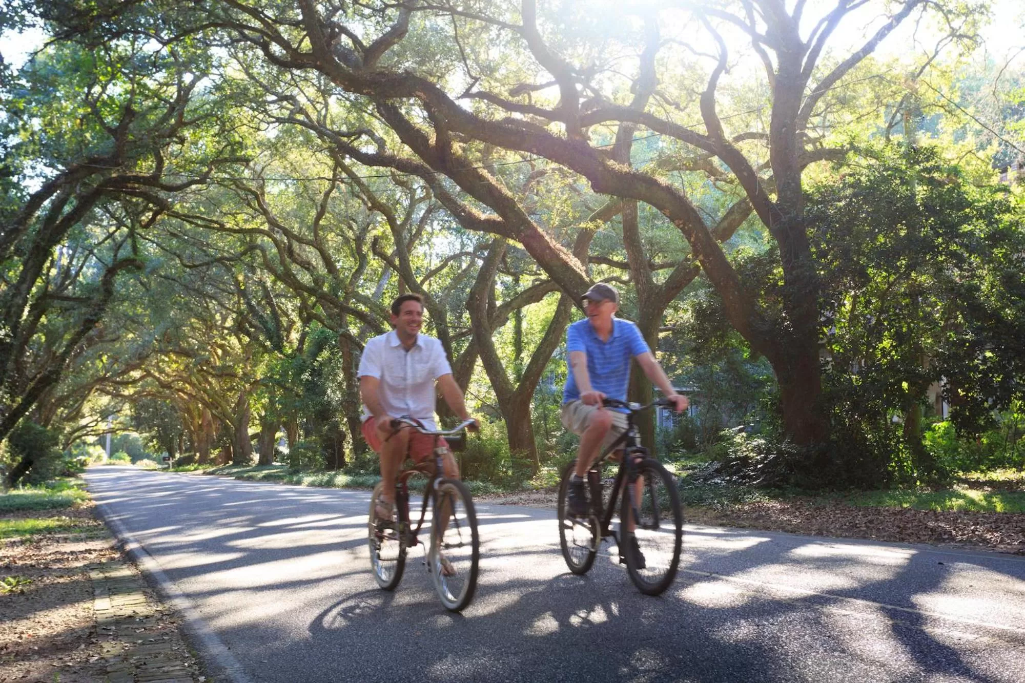 Cycling in Magnolia Springs Bed and Breakfast