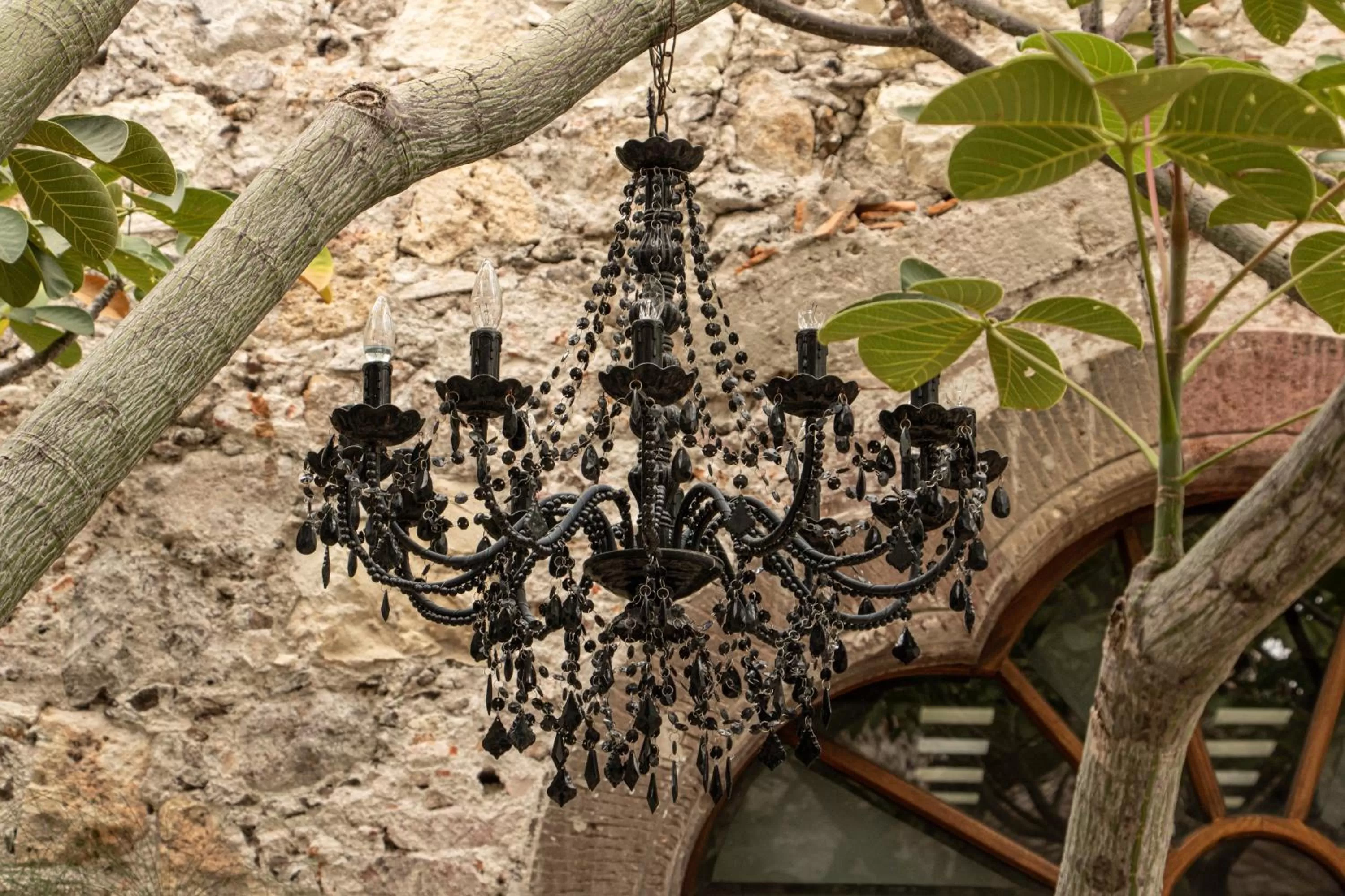 Garden view in Orchid House San Miguel de Allende