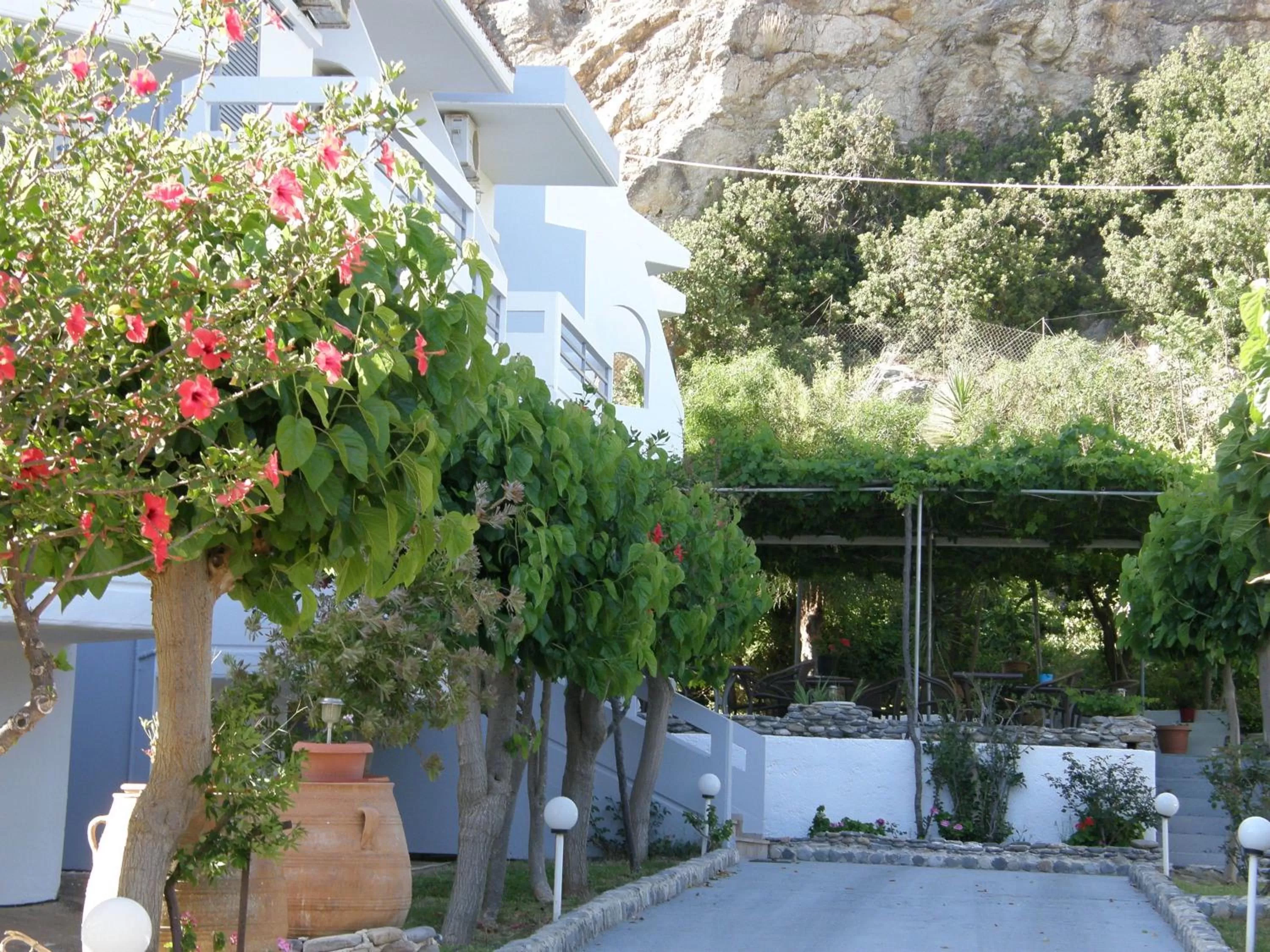 Bird's eye view in Megim Hotel