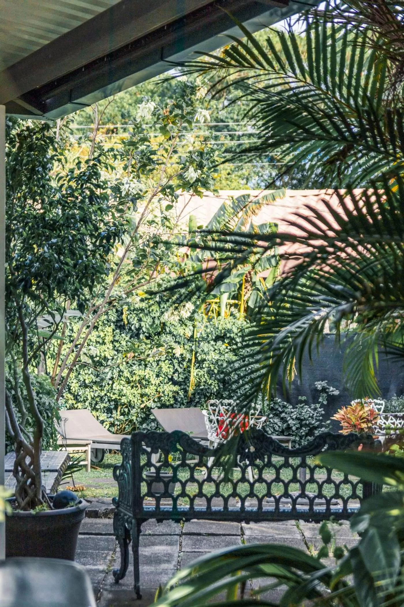 Garden in Terida Airport B&B