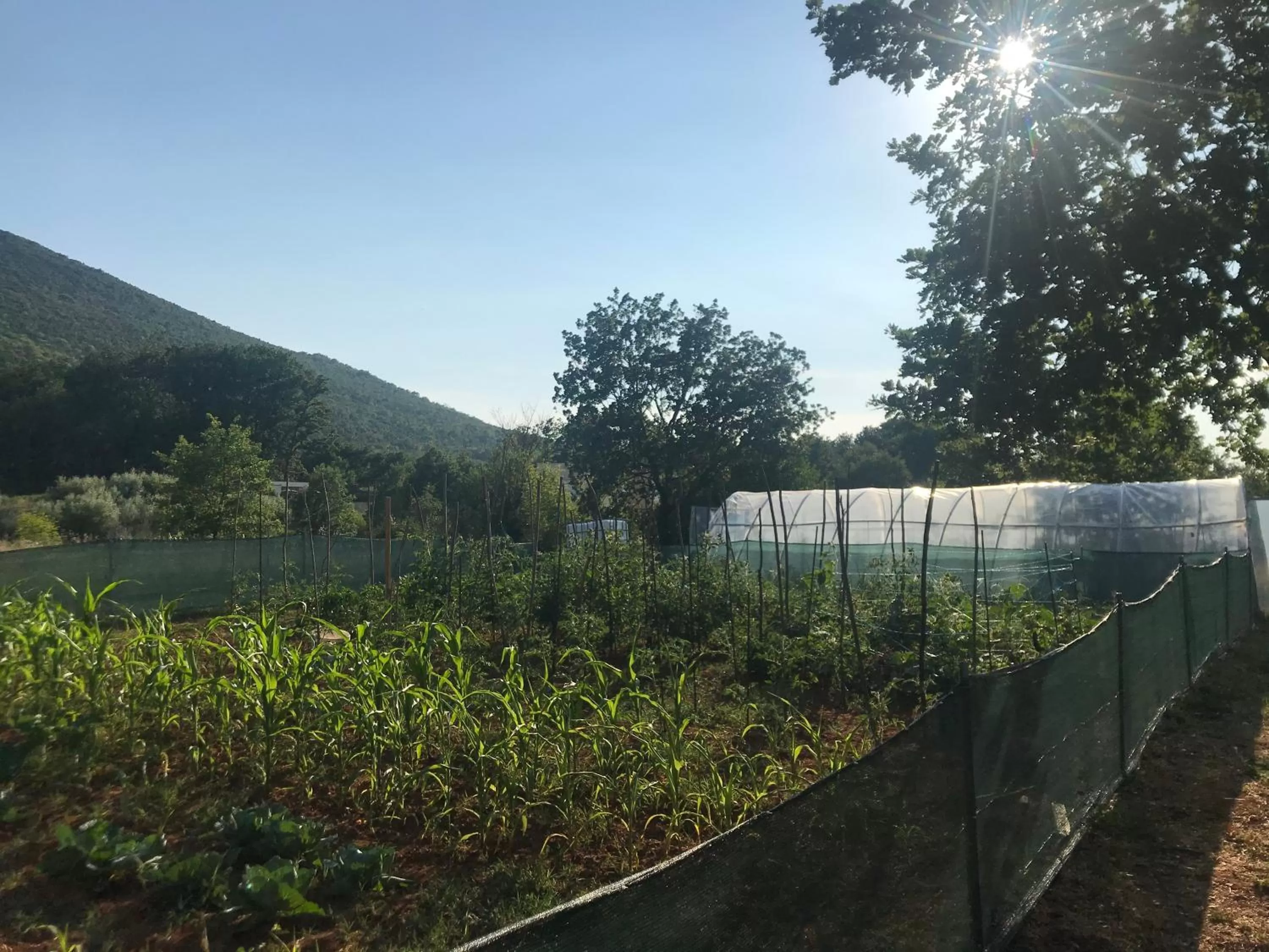 Garden in Villa Flowers