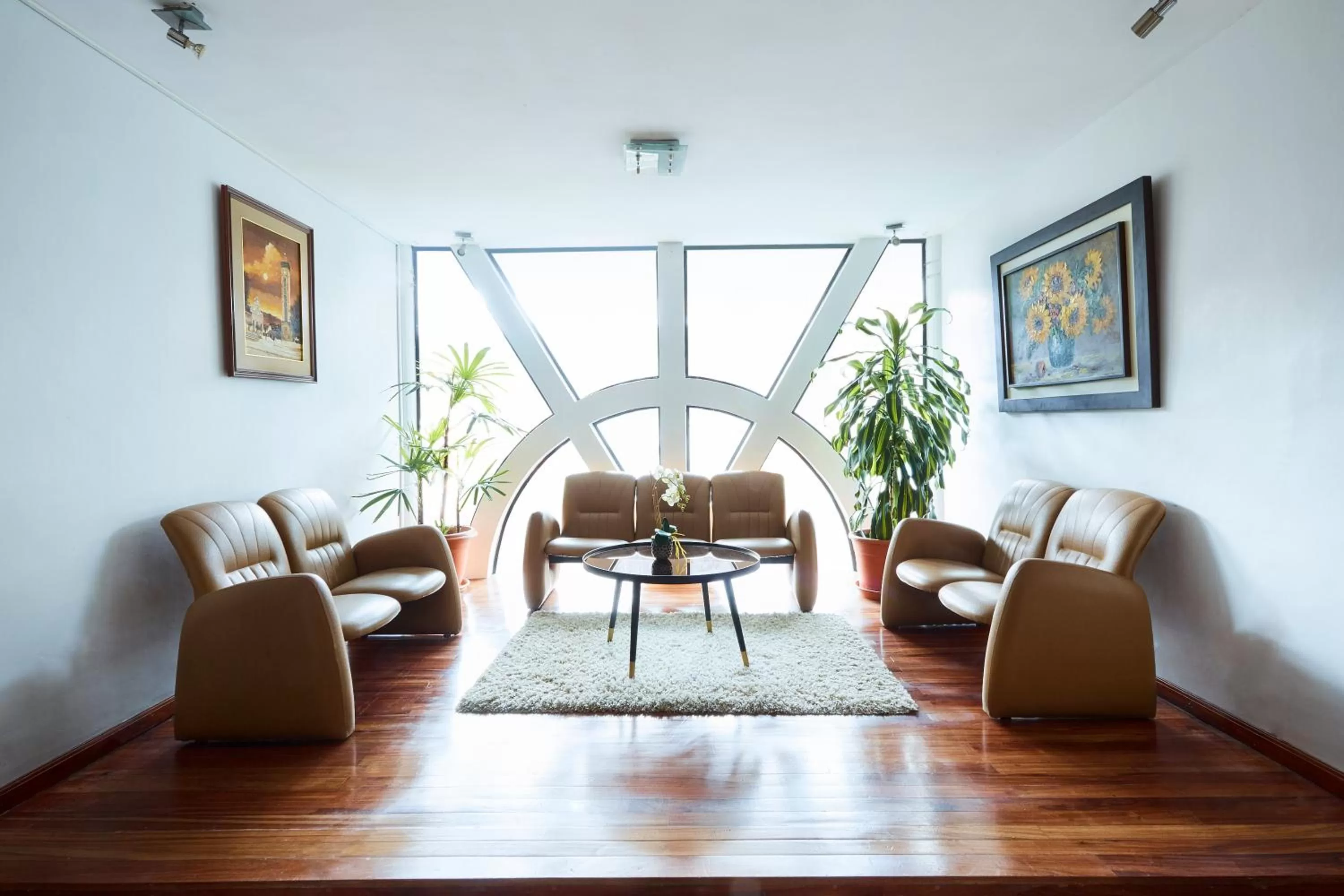 Living room in Hotel Podocarpus