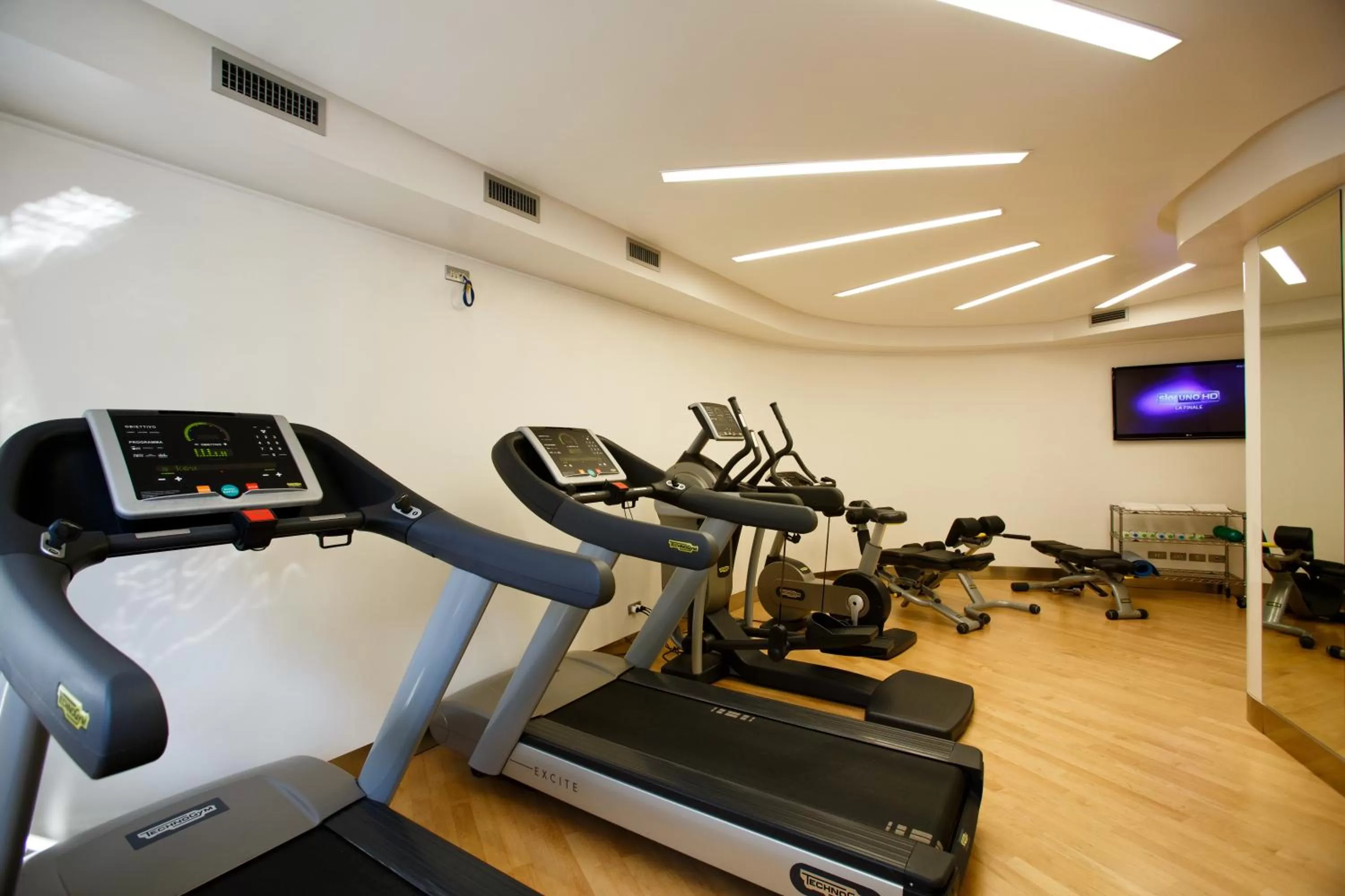 Fitness centre/facilities in Albani Hotel Roma