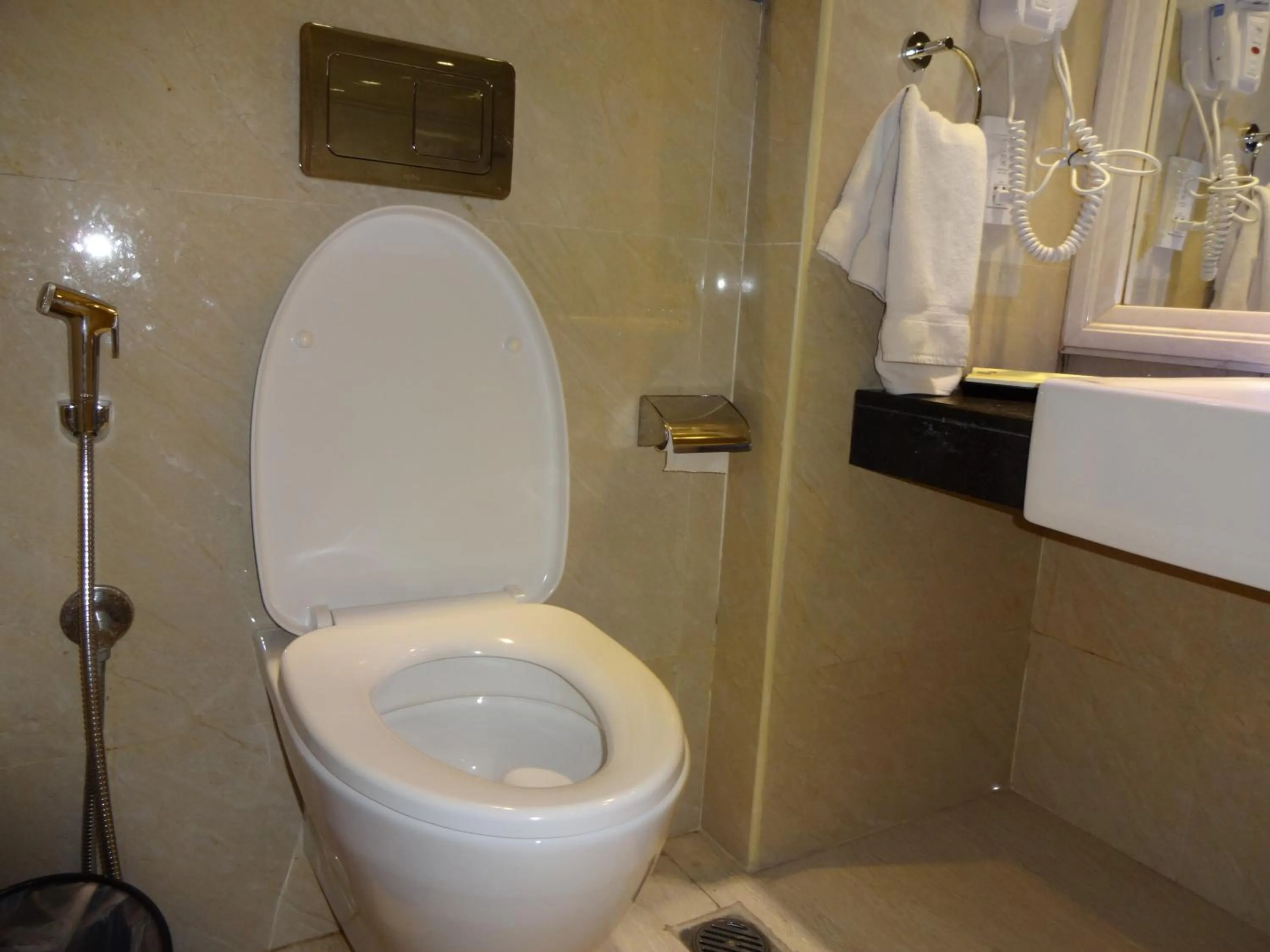 Bathroom in Savera Hotel