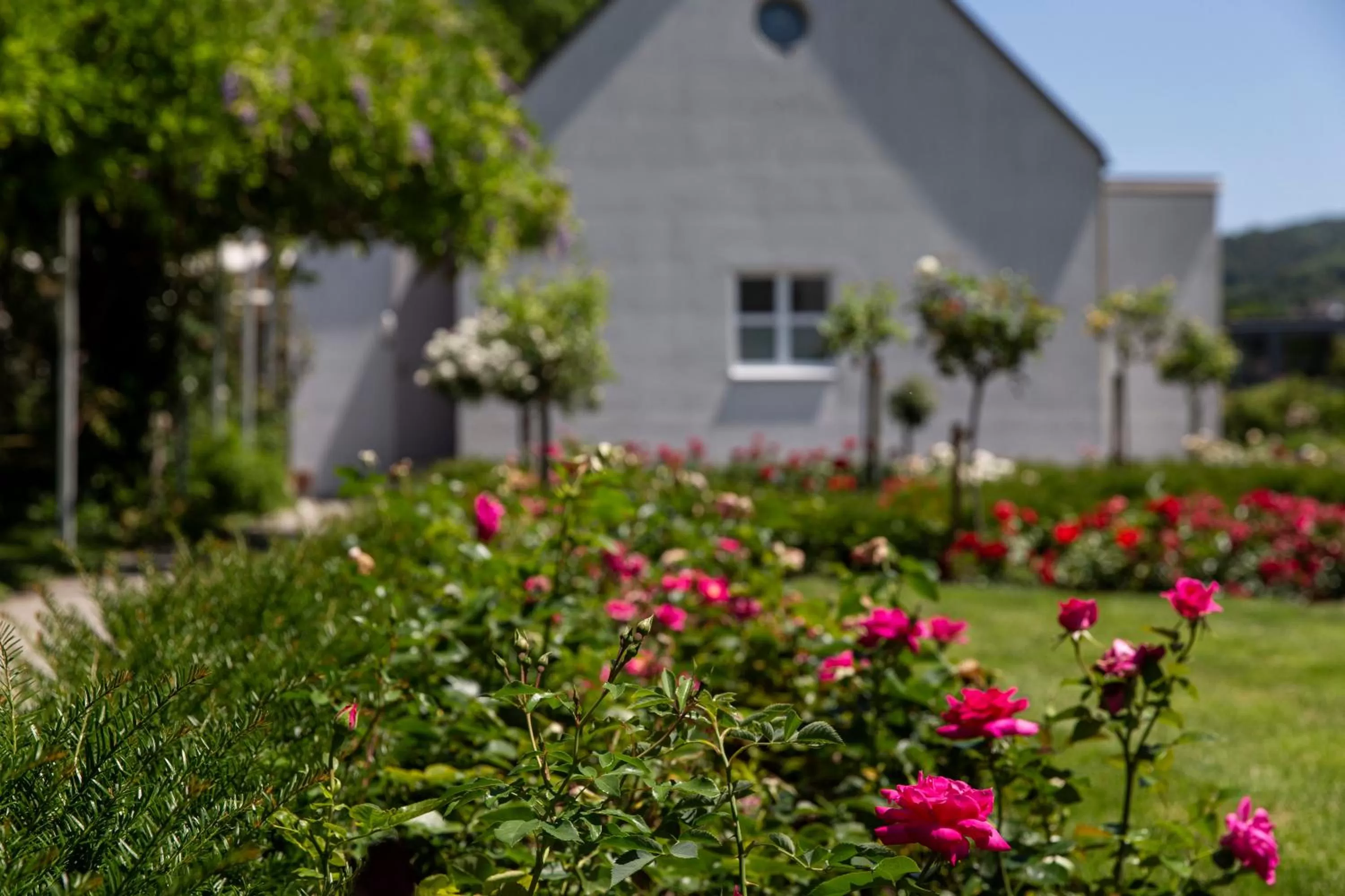 Day in See & Park Hotel Feldbach