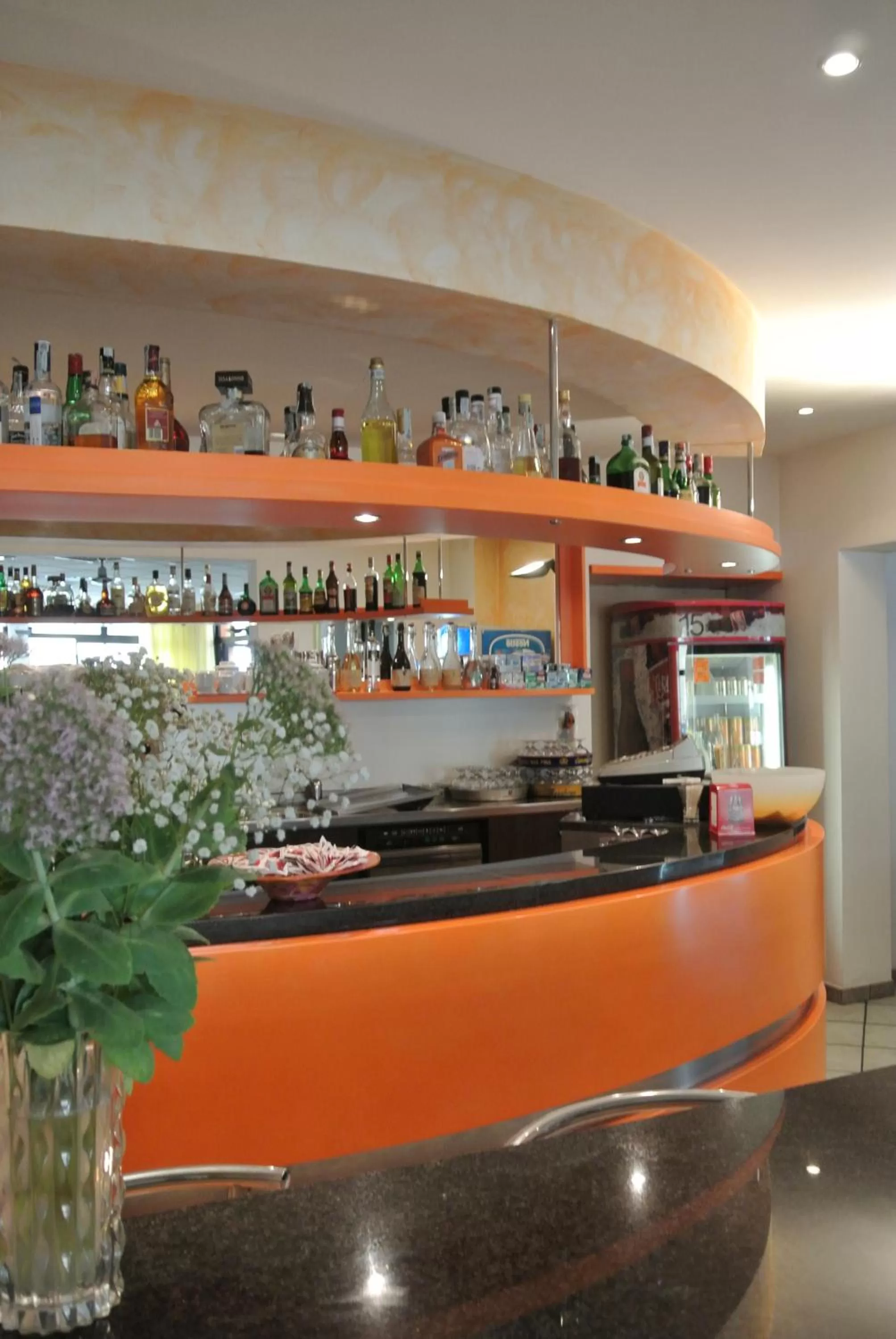 Lounge or bar, Lounge/Bar in Albergo Roma