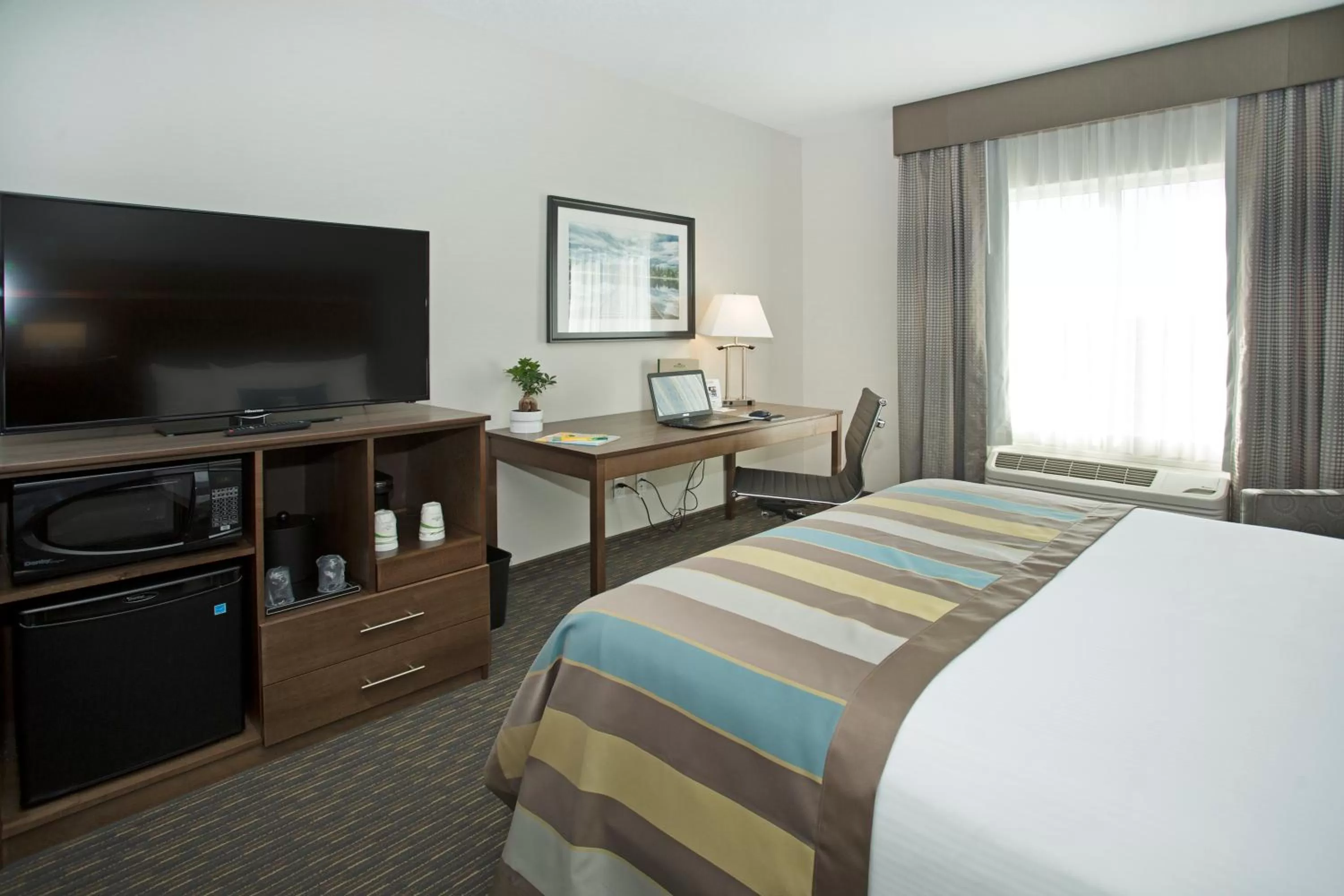 Bed in Wingate by Wyndham Calgary Airport