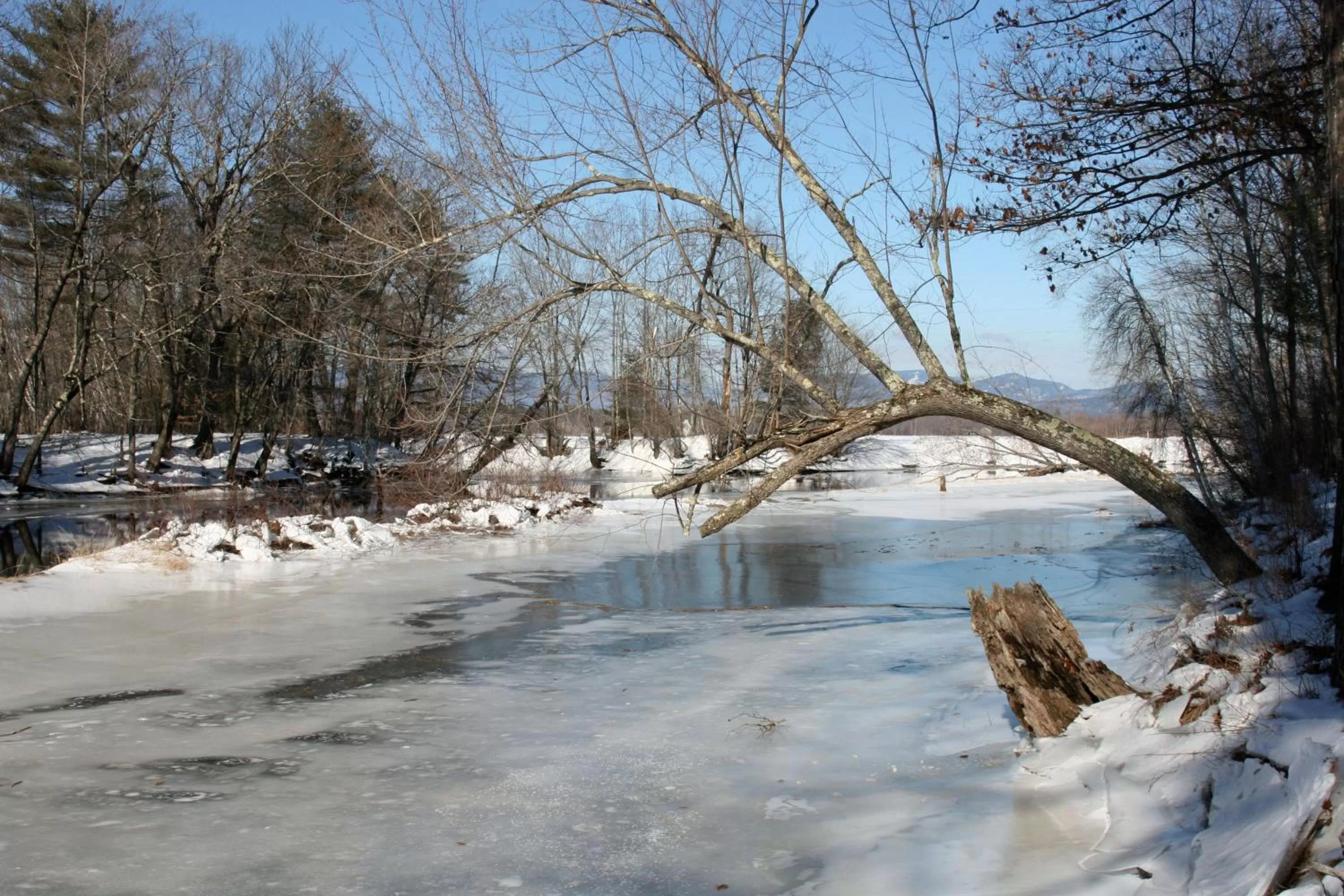River view in Old Saco Inn