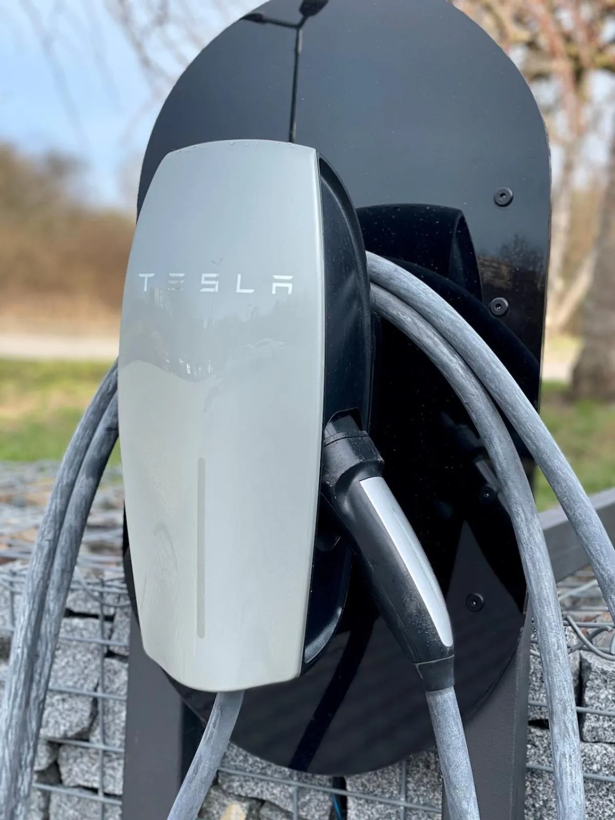 Day in Volcano Spa Hotel