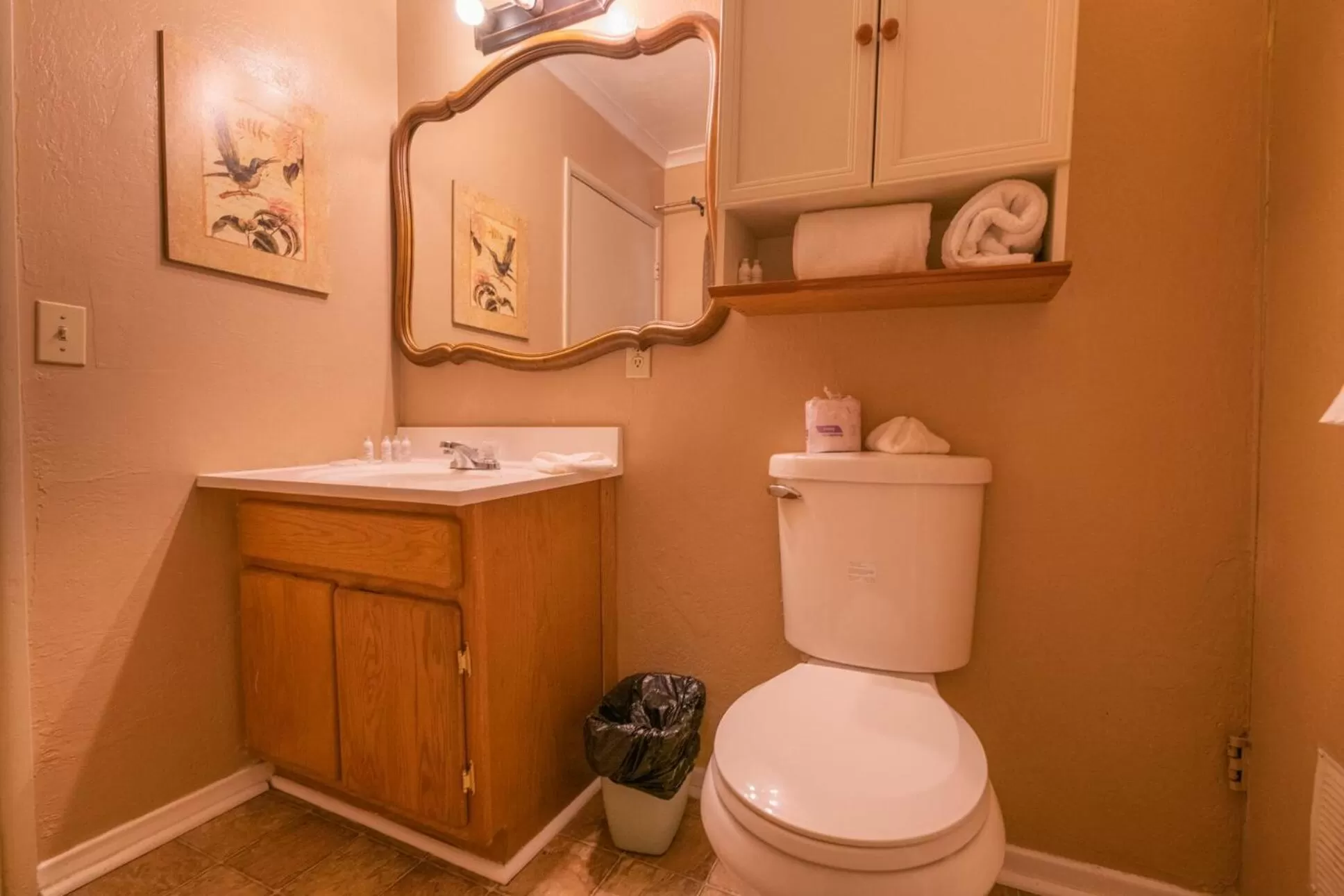 Bathroom in Black Forest Lodge