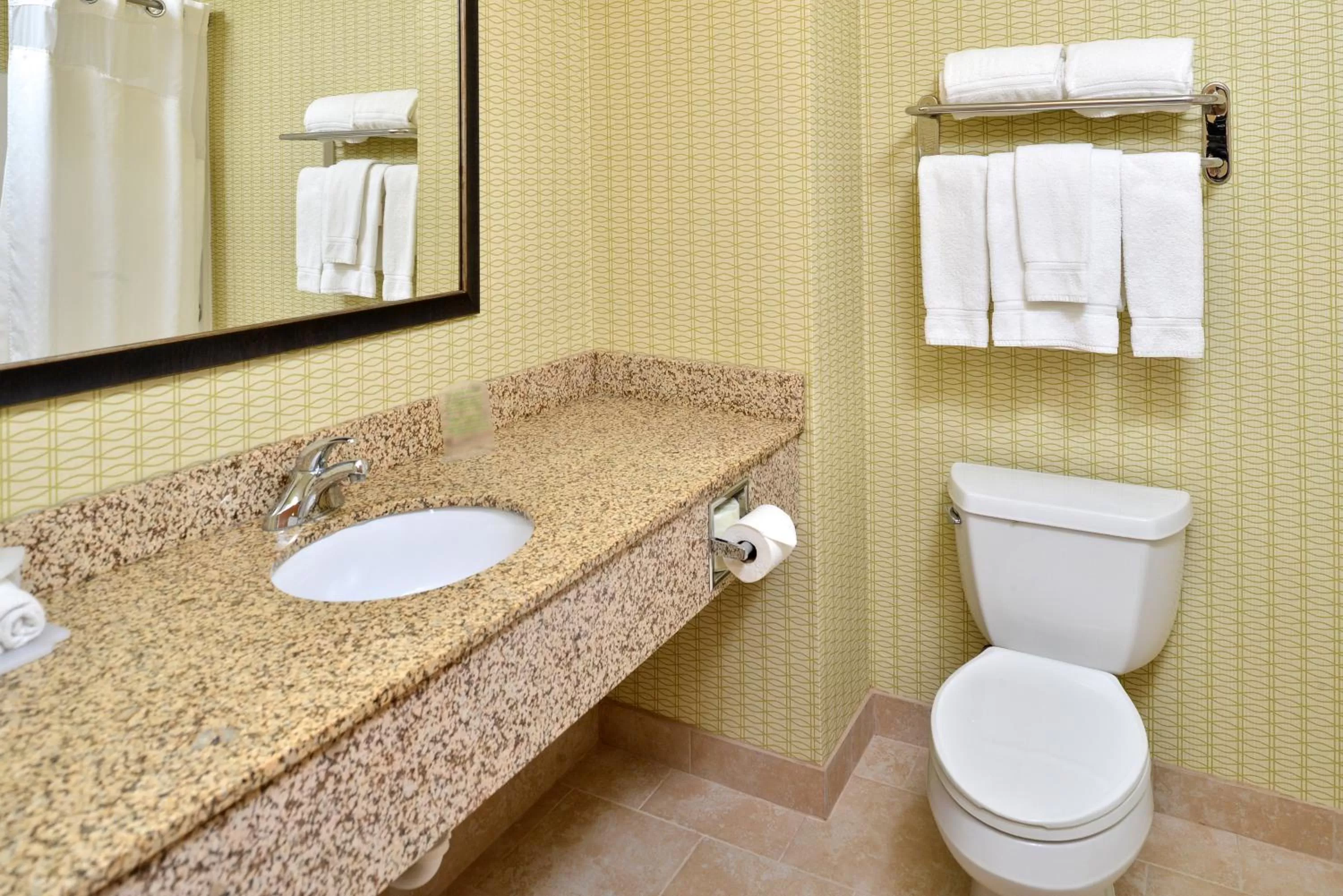 Bathroom in Holiday Inn Express Hotel & Suites Charlotte by IHG