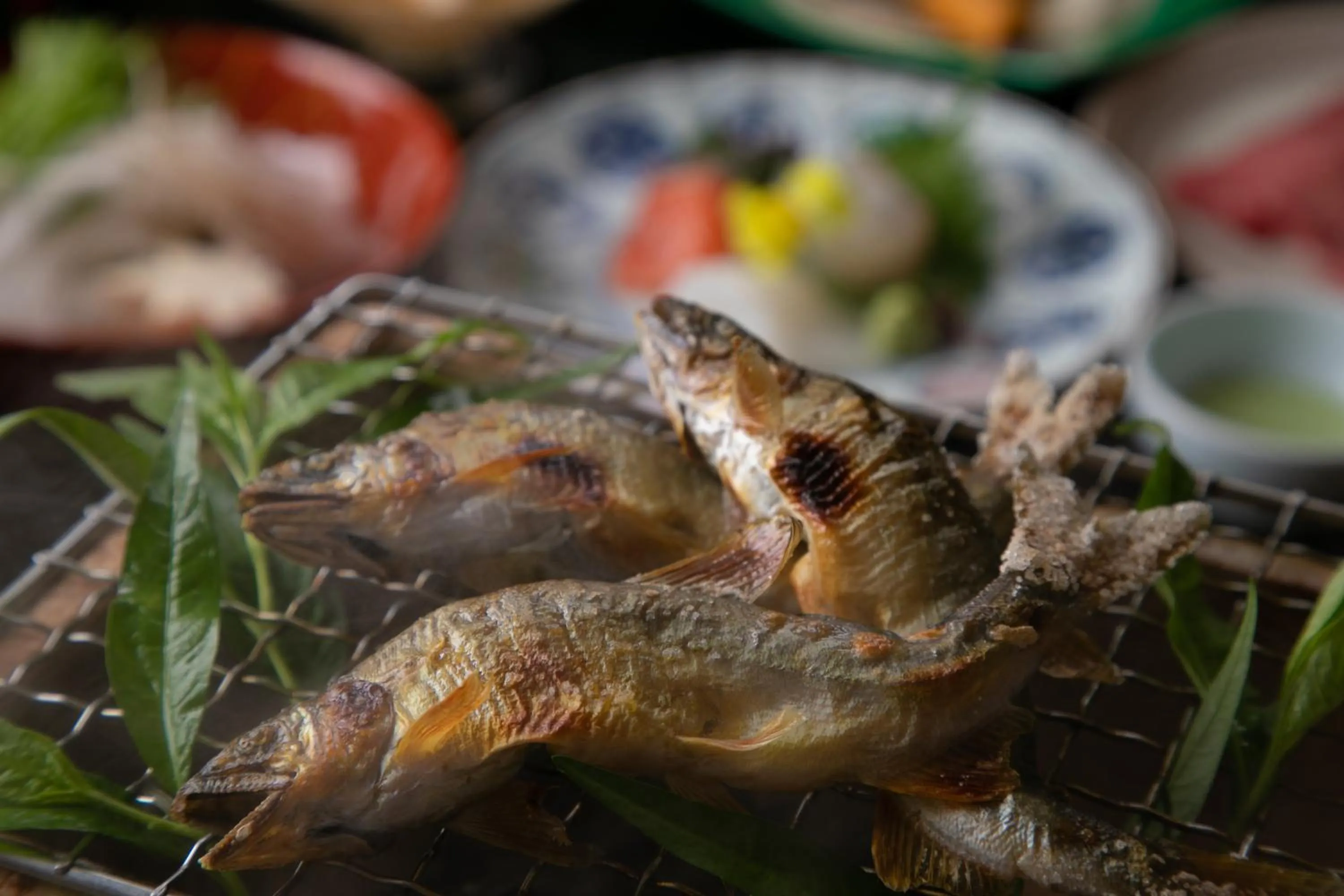 Food in Biwako Hanakaido