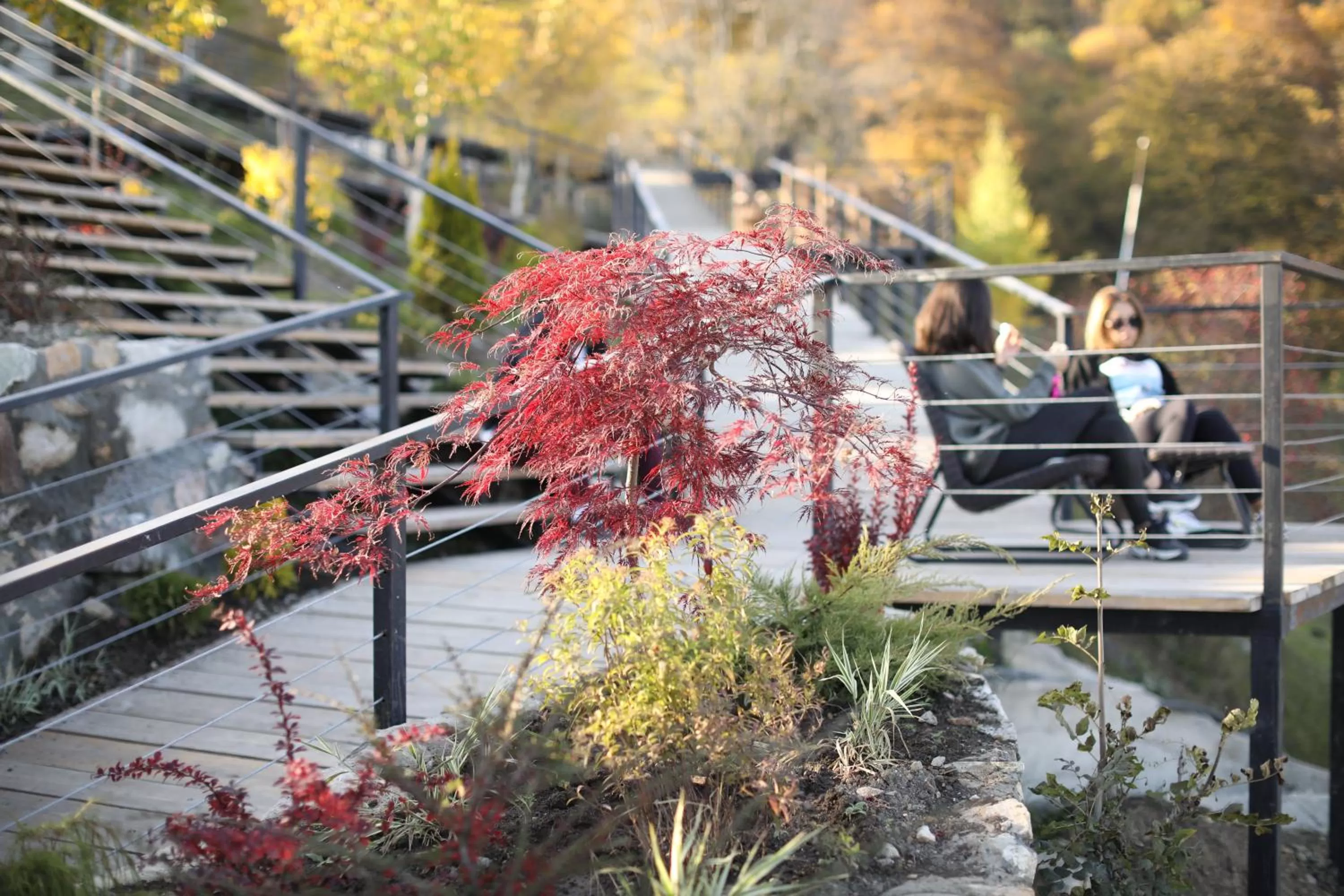 Balcony/Terrace, Other Animals in Apaga Resort