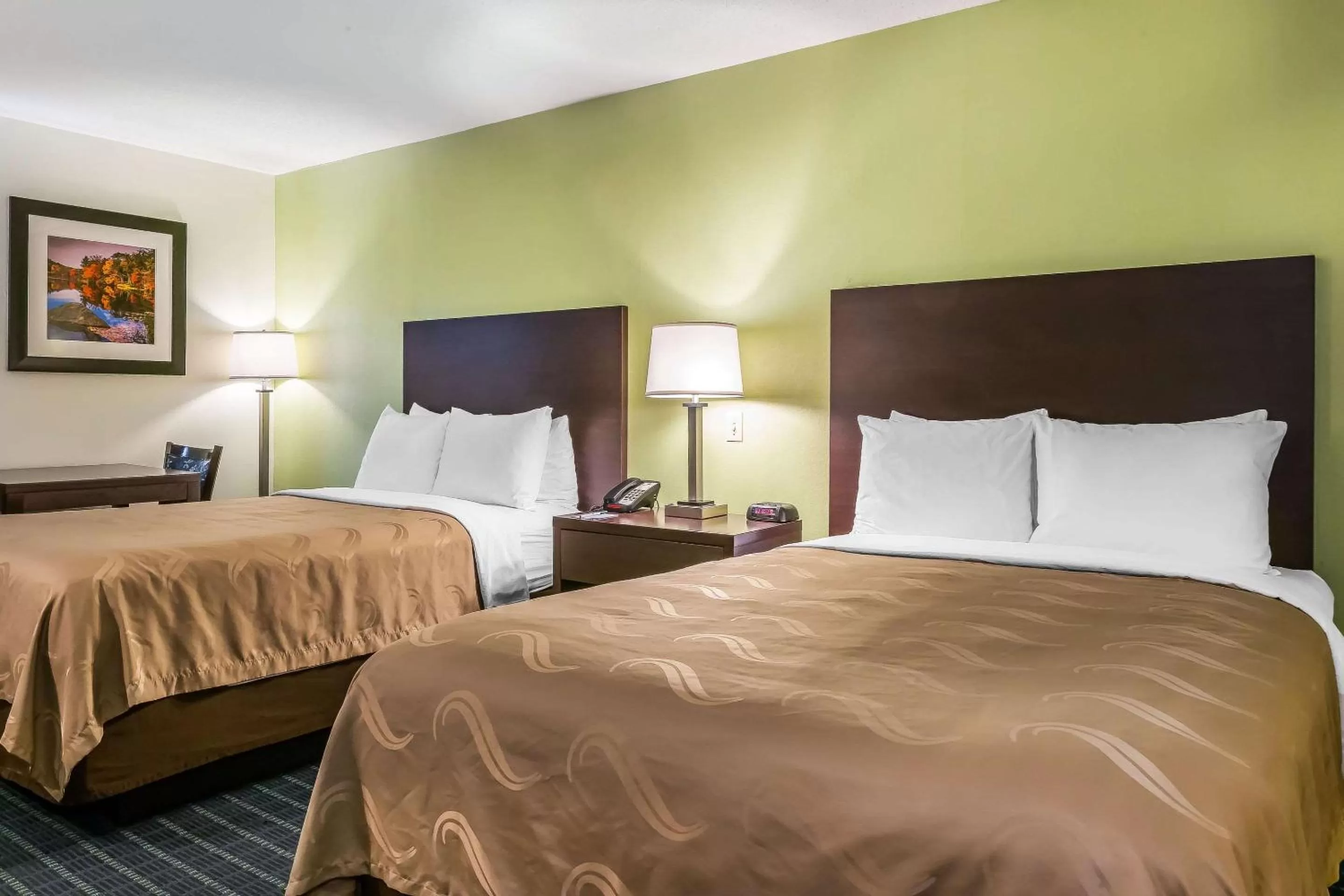 Photo of the whole room, Bed in Quality Inn Jackson