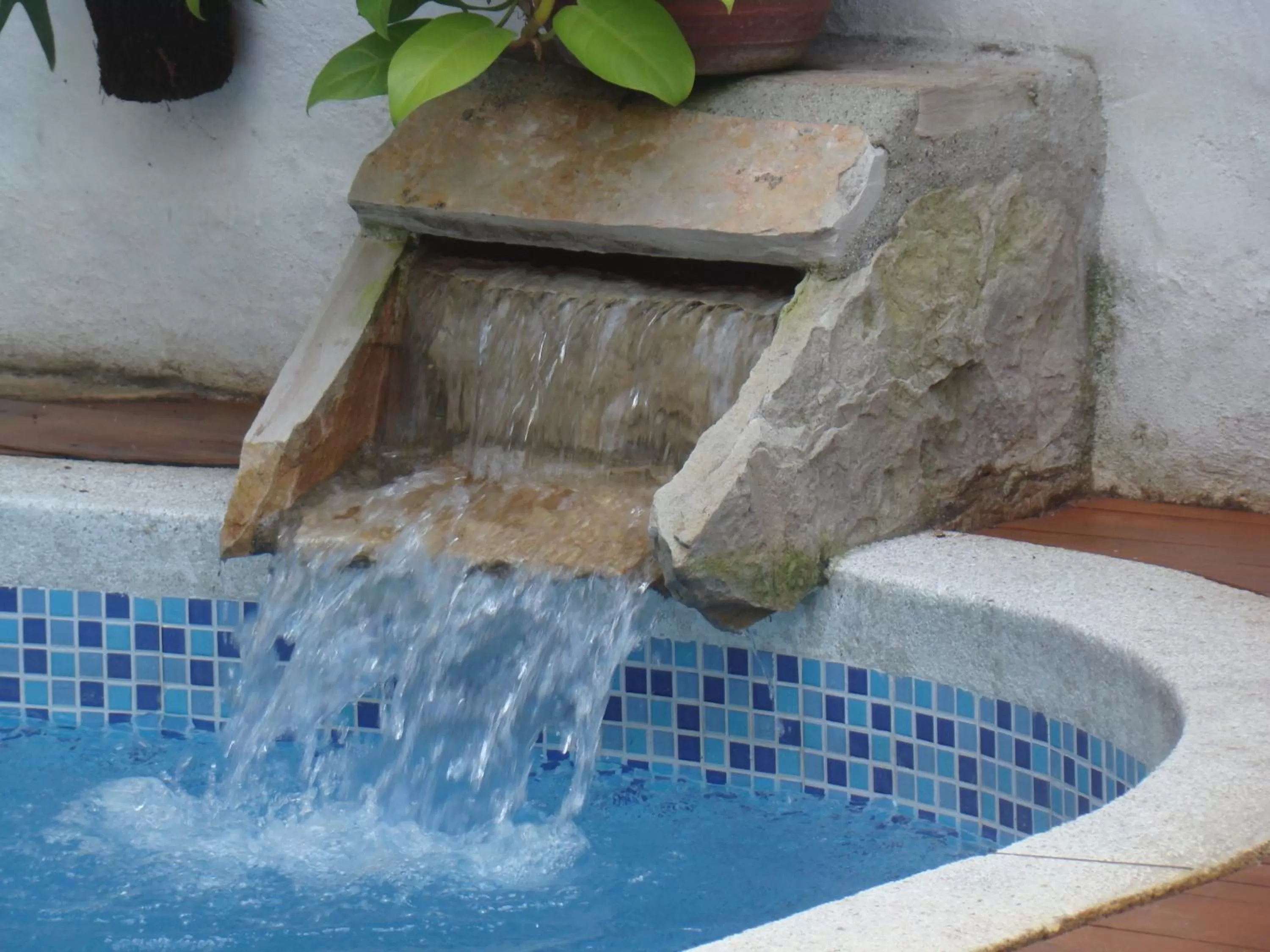 Swimming Pool in Casa Hotel Jardin Azul