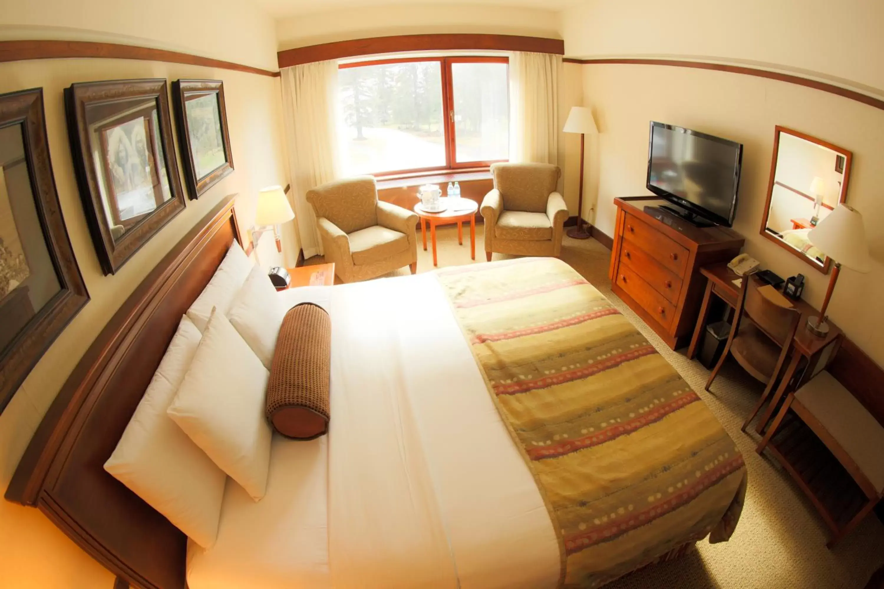 Deluxe King Room in Alyeska Resort Deluxe King Room in Alyeska Resort