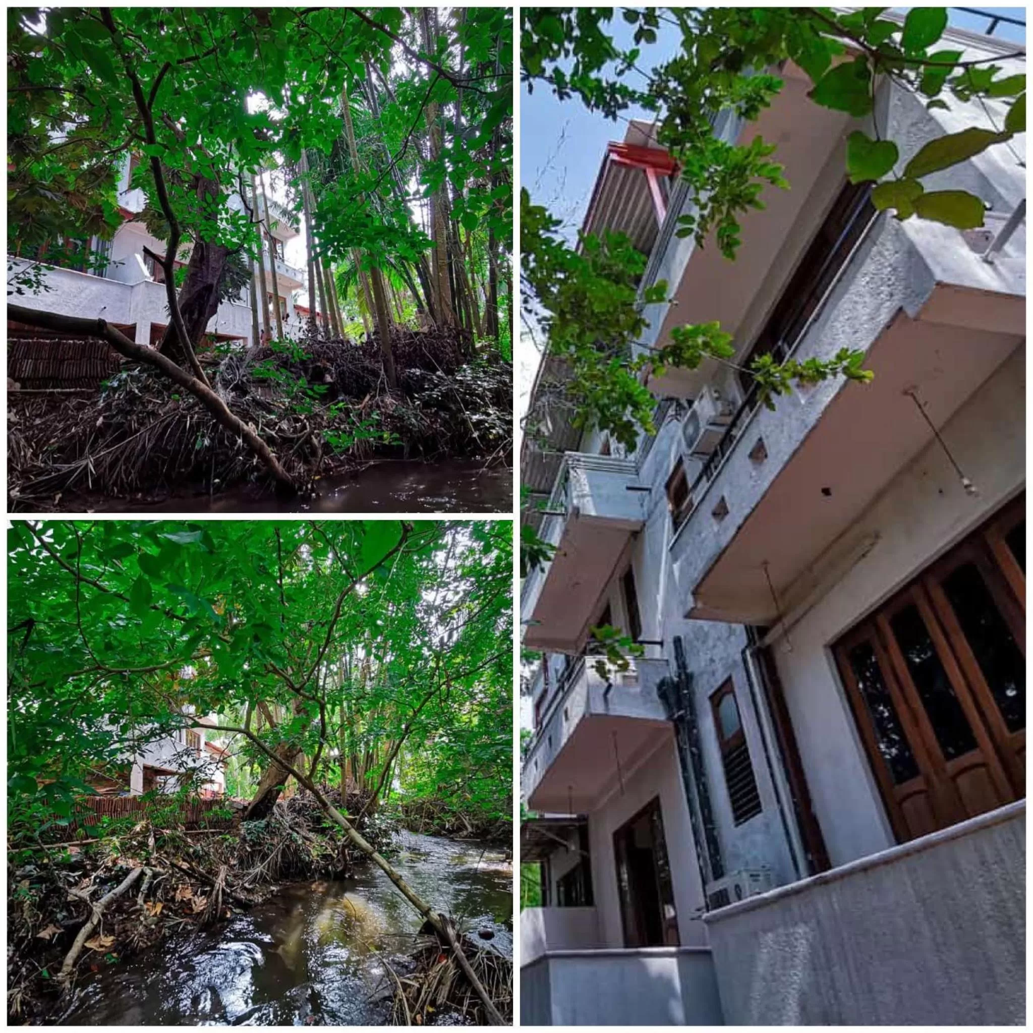 View (from property/room), Property Building in Divine Villa