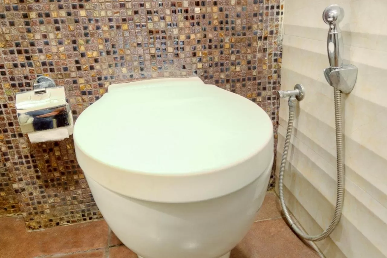 Bathroom in Hotel Dreamland Chandigarh