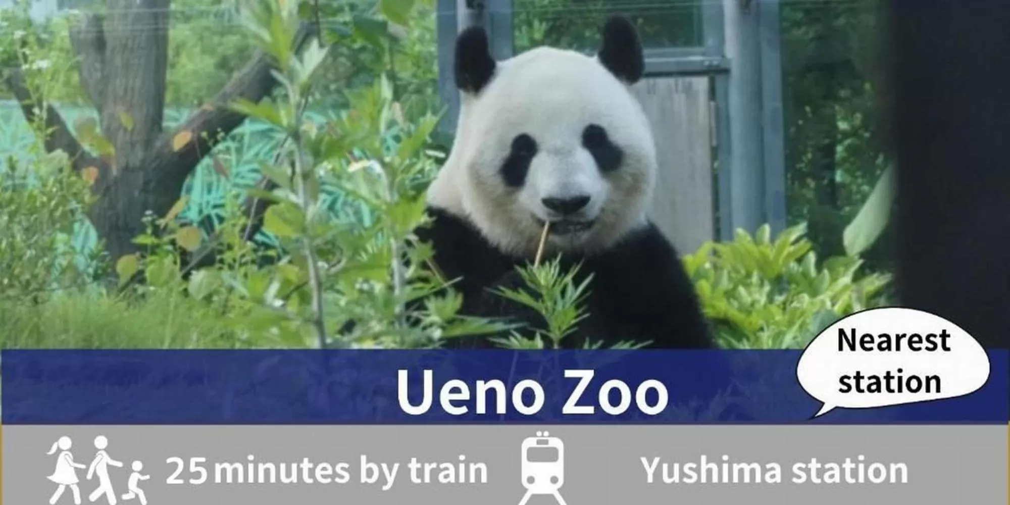 Nearby landmark, Other Animals in Asakusa Hotel Hatago