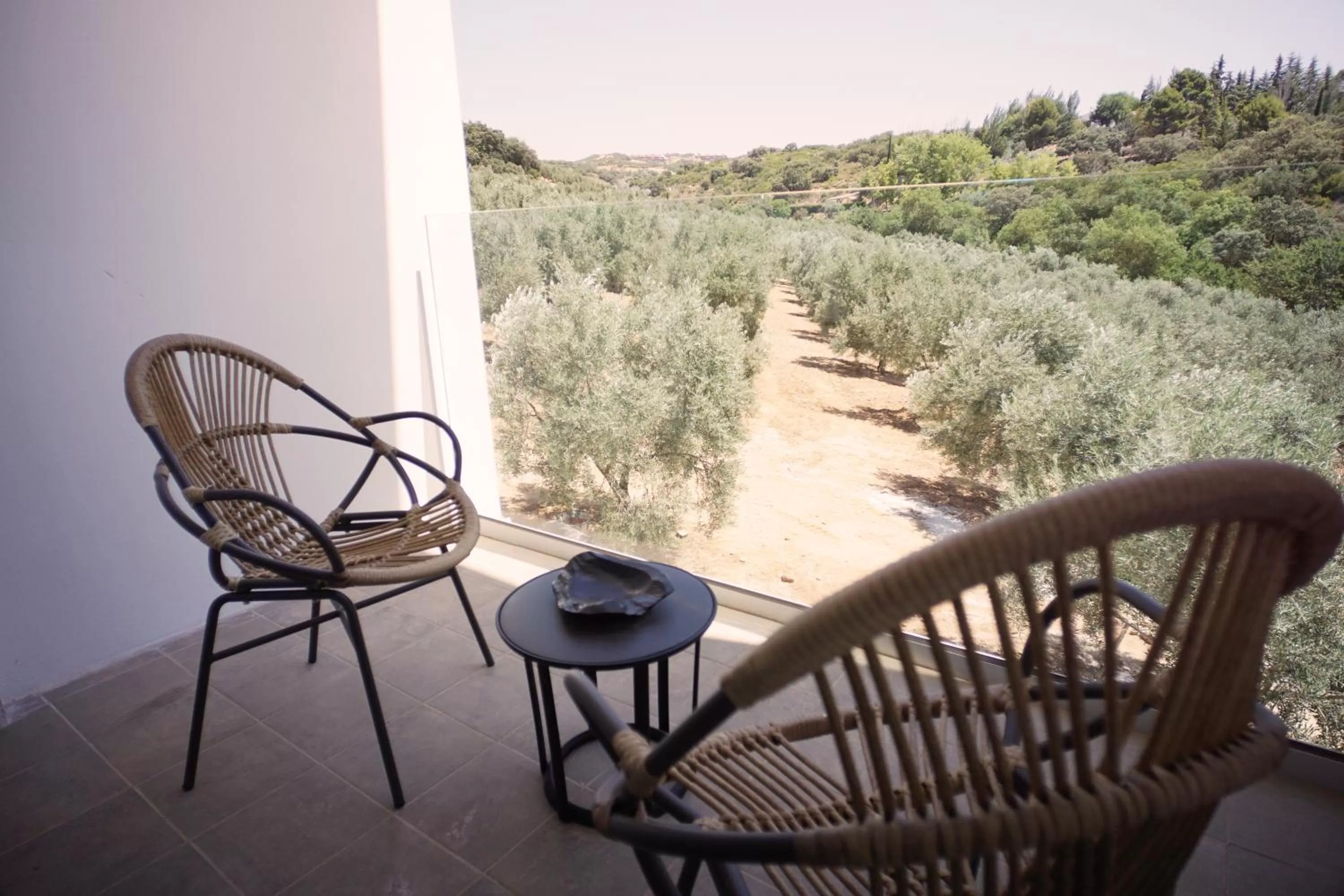 Balcony/Terrace in Hacienda Fresneda María by Real Spain Hotels Adults Recommended