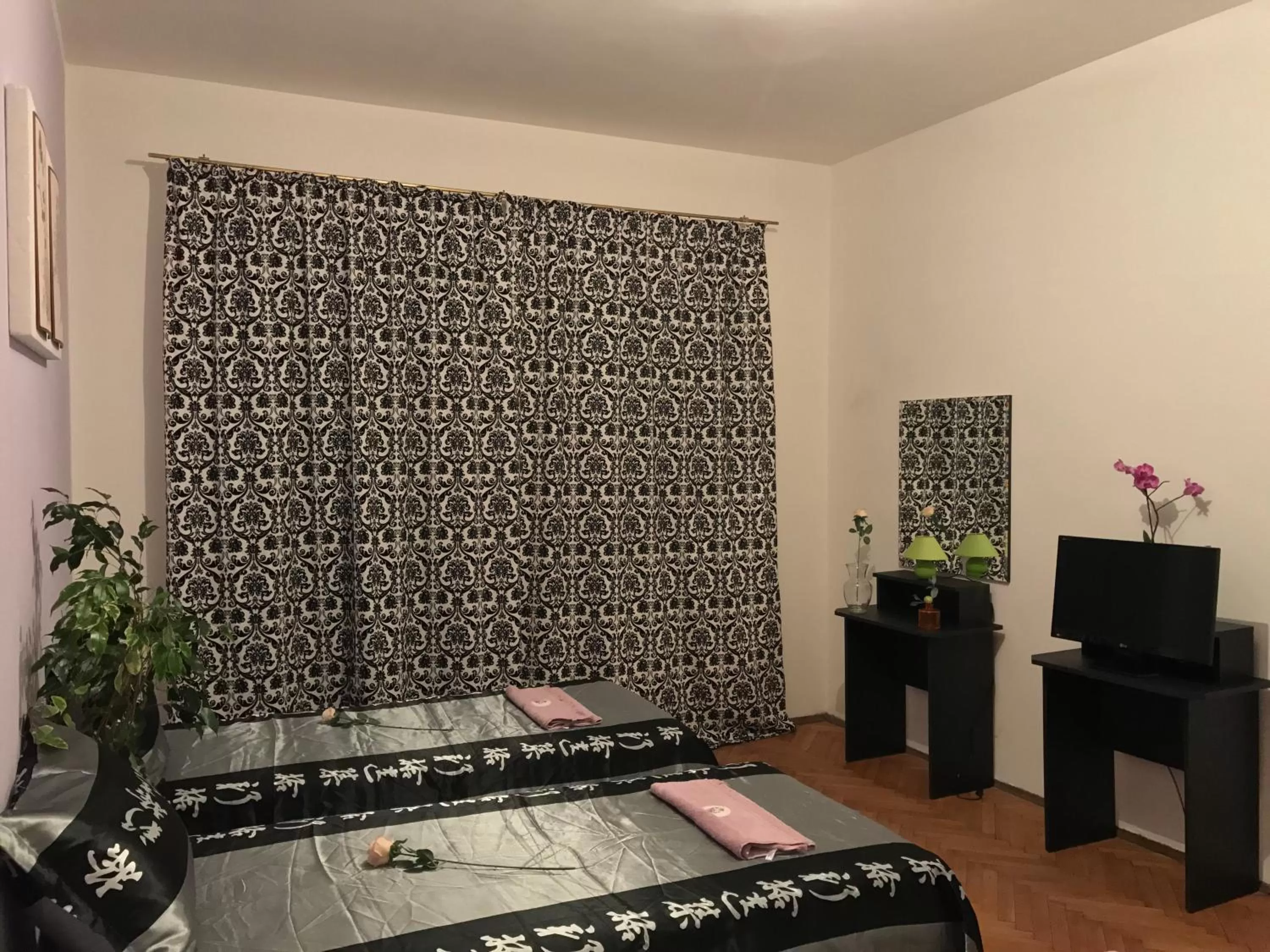 Photo of the whole room in Belle Stelle Sofia