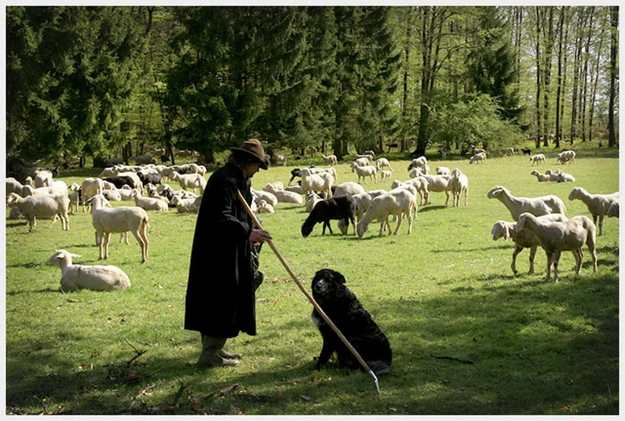 Other in Hotel-Restaurant Ochsen