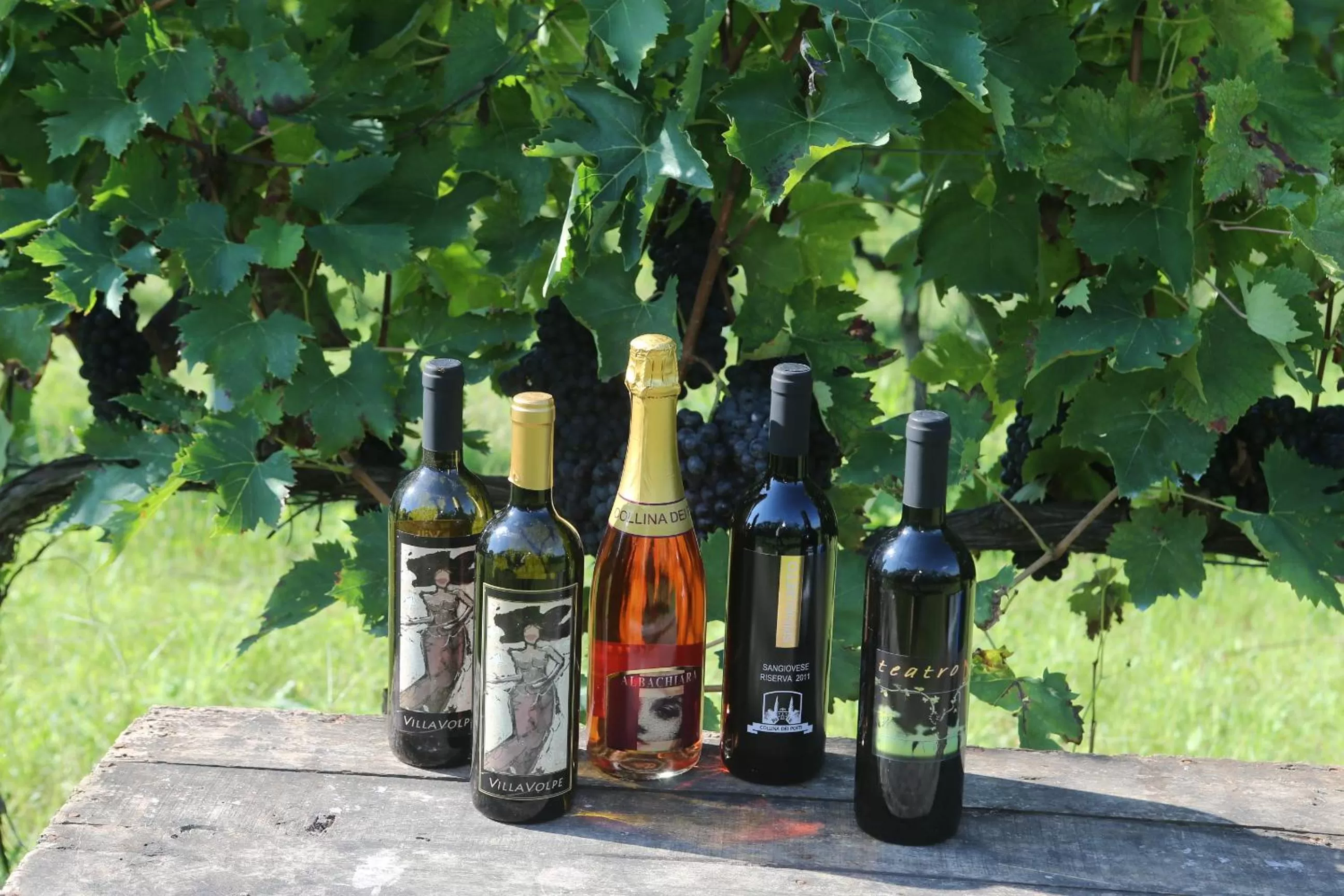 Drinks in Collina dei Poeti