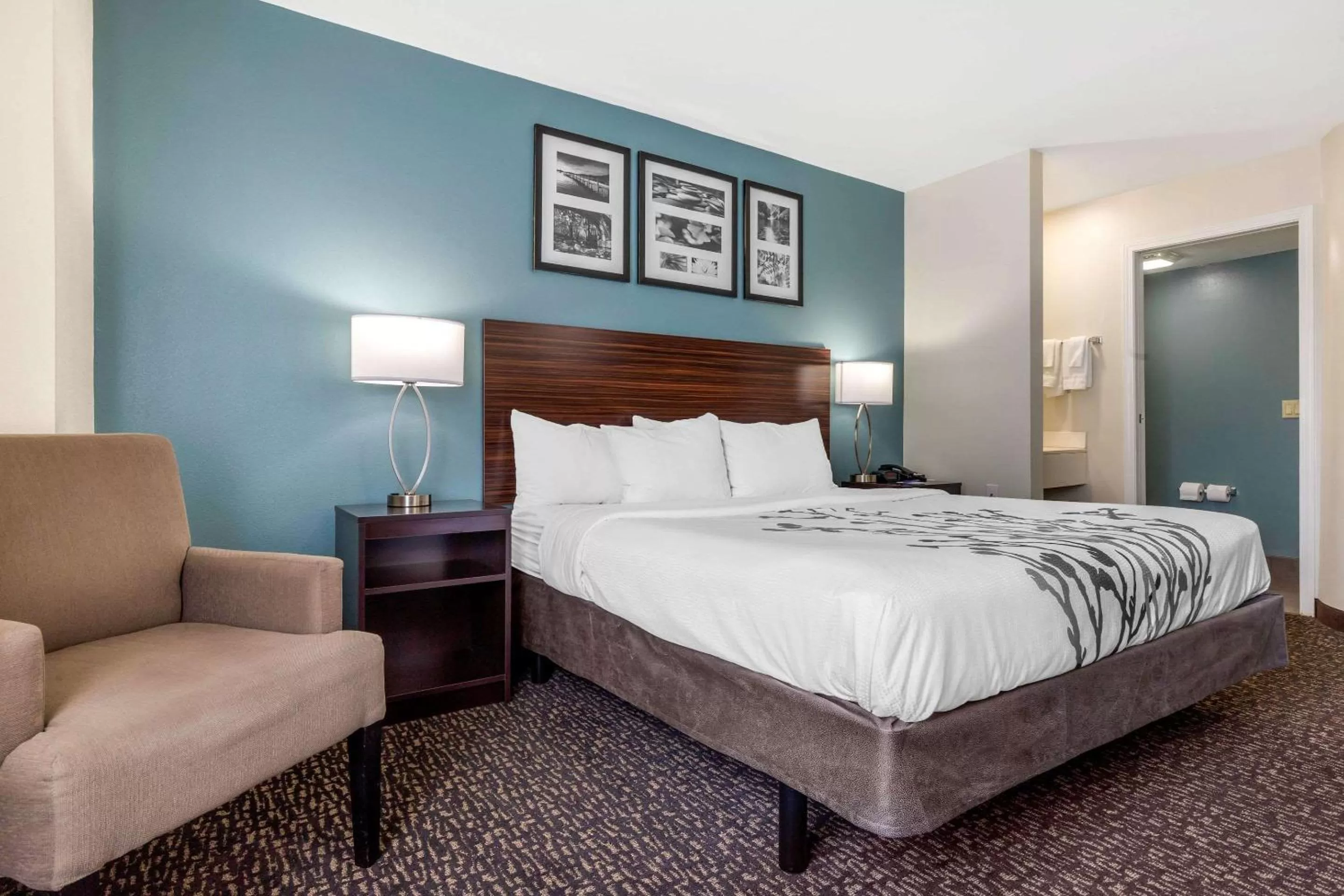 Bedroom, Bed in Sleep Inn & Suites Johnson City