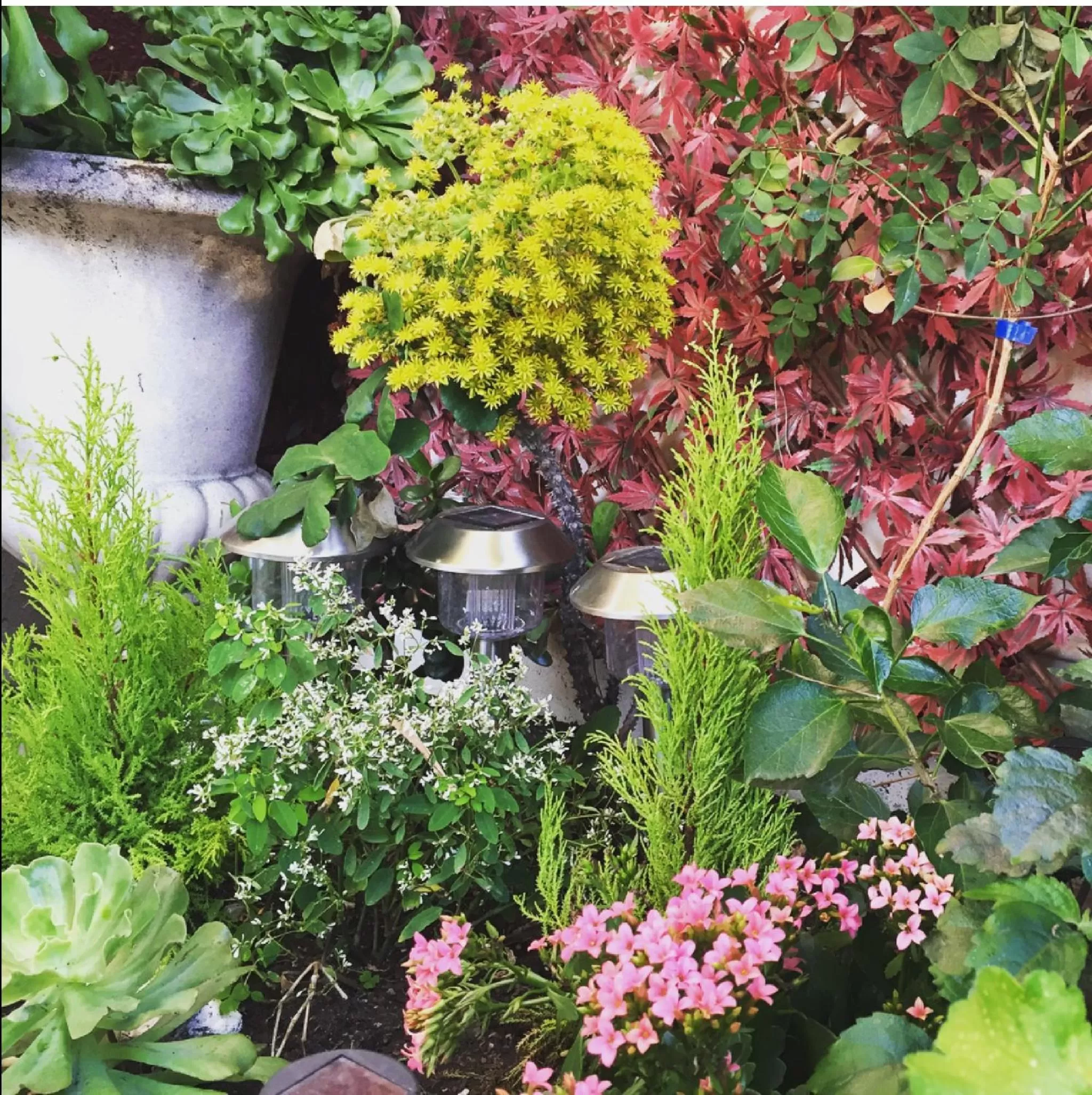 Balcony/Terrace in Hotel Danemark