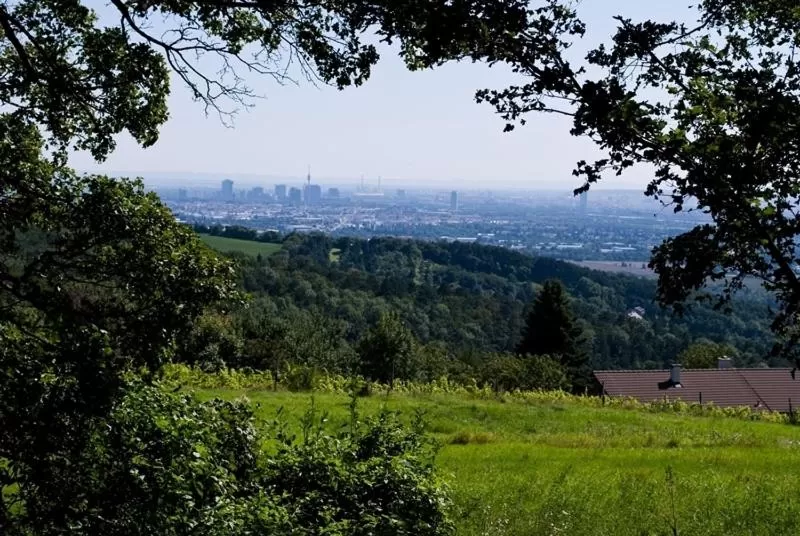 Area and facilities, Natural Landscape in Hotel zur Sonne