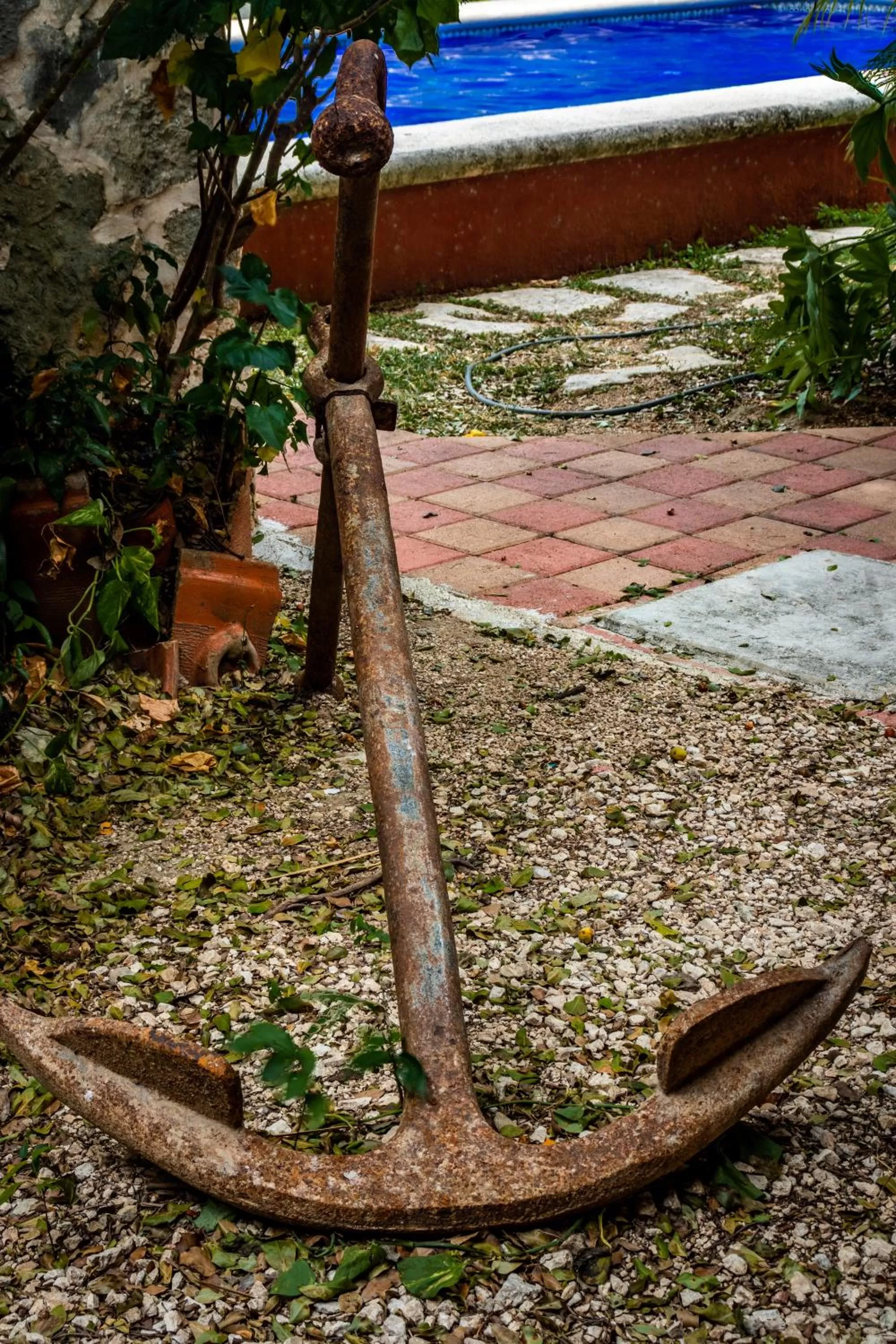 Garden in Apart Hotel Casaejido