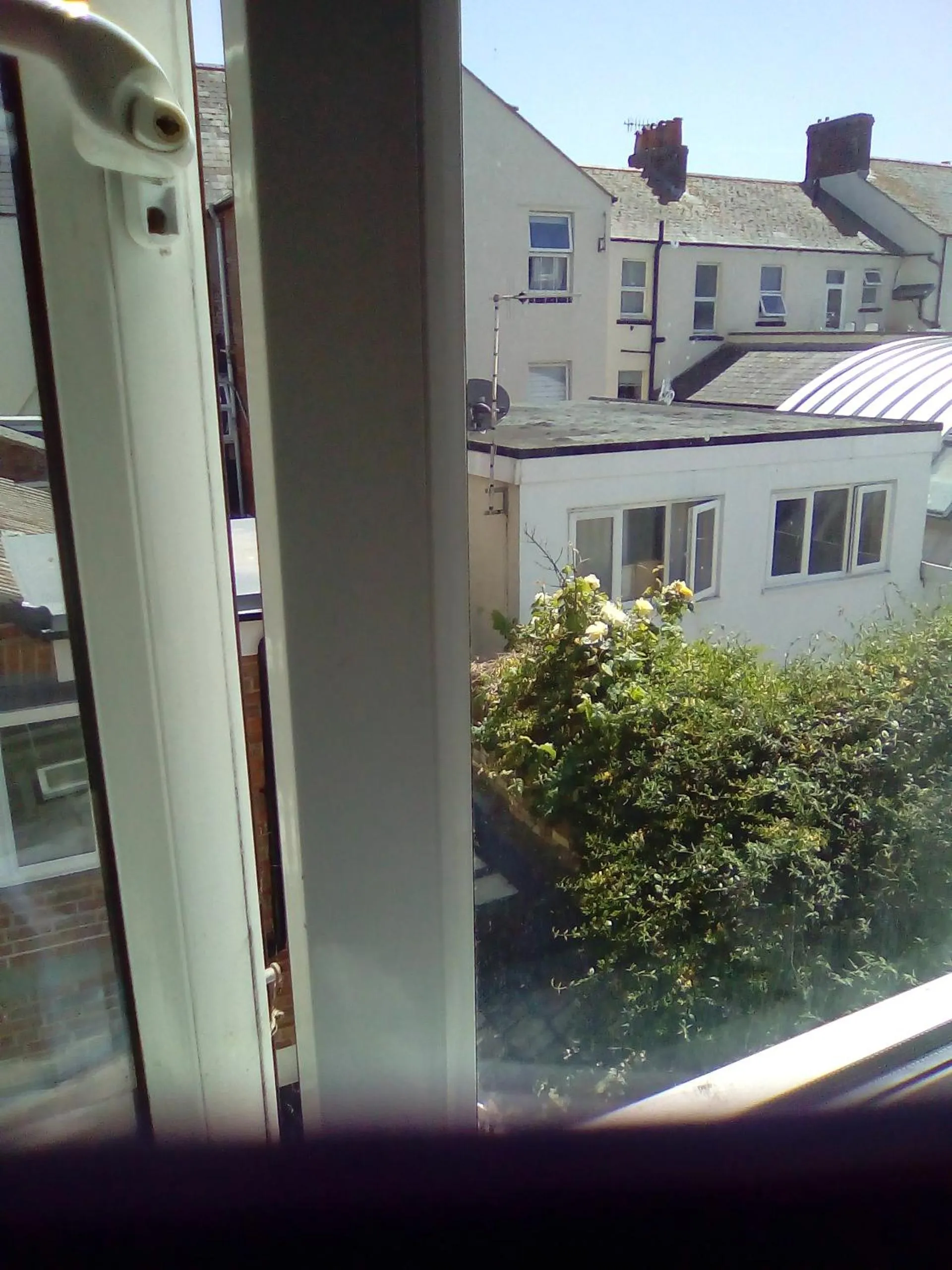 Garden view in The Wilton Weymouth