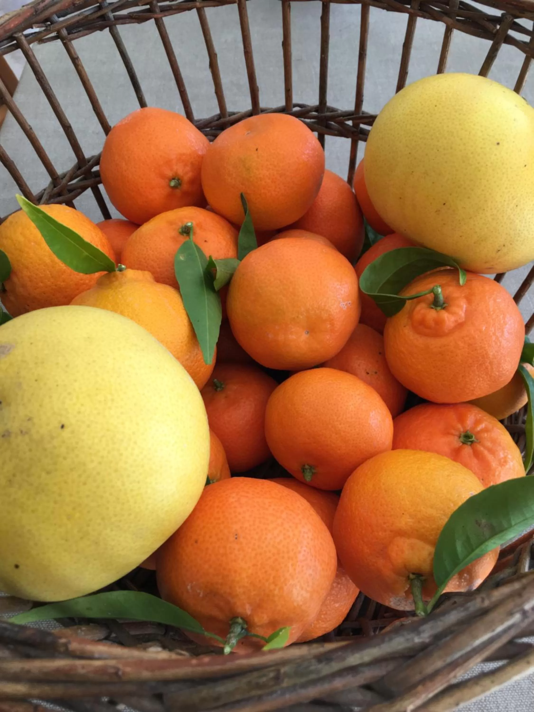 Food and drinks in Domaine de l'Aufrene