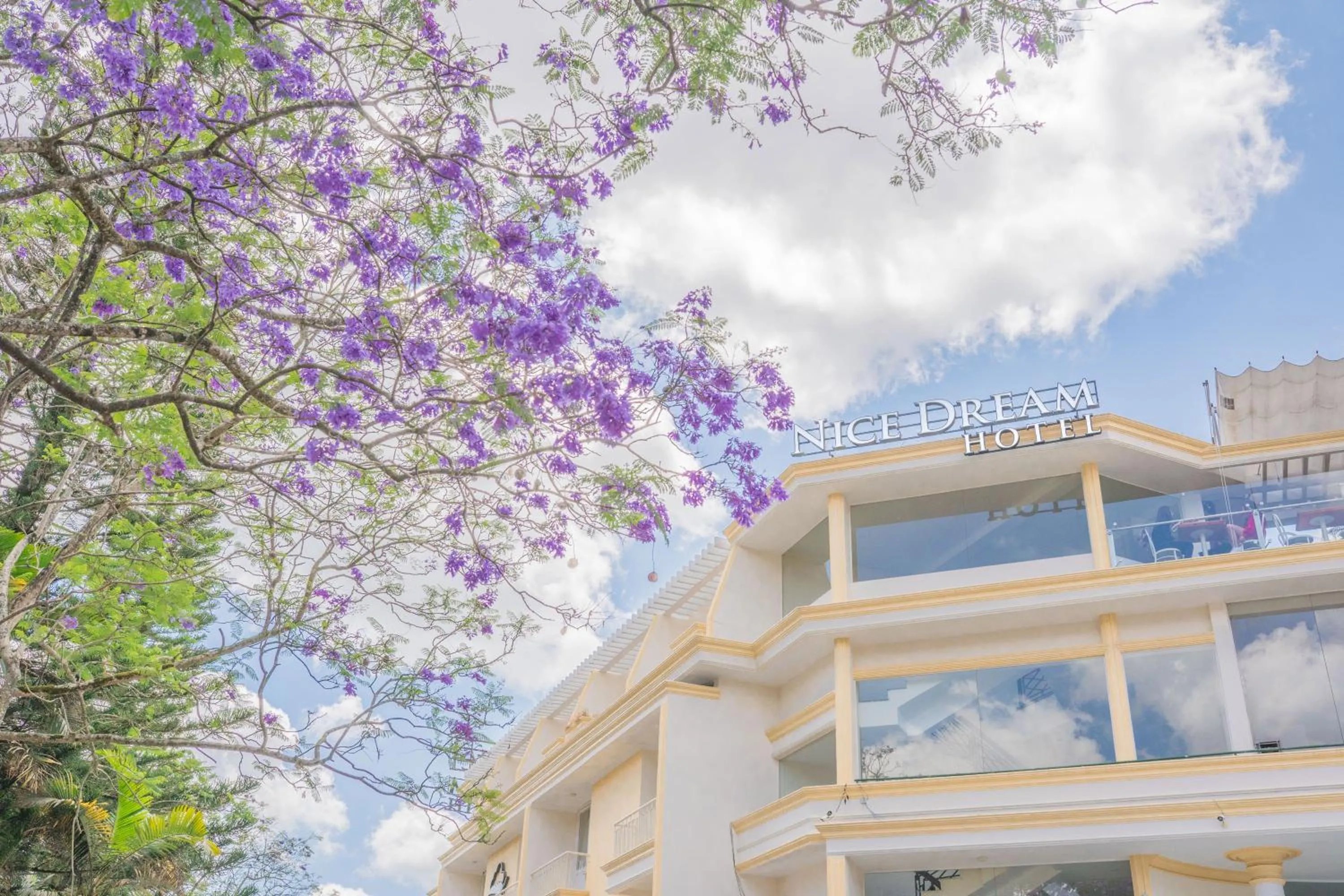 Property building in Nice Dream Hotel