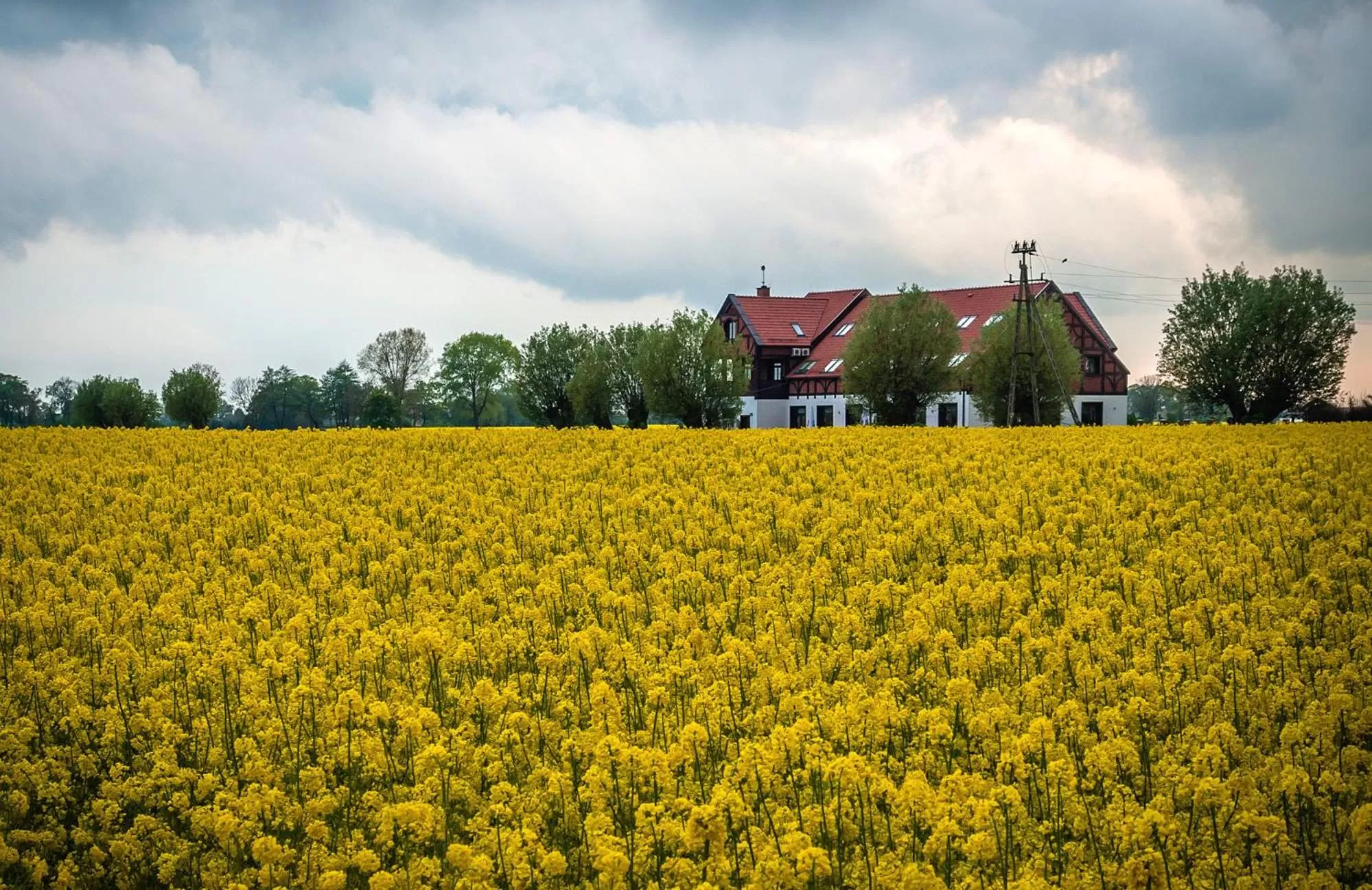 Area and facilities in Folwark Żuławski
