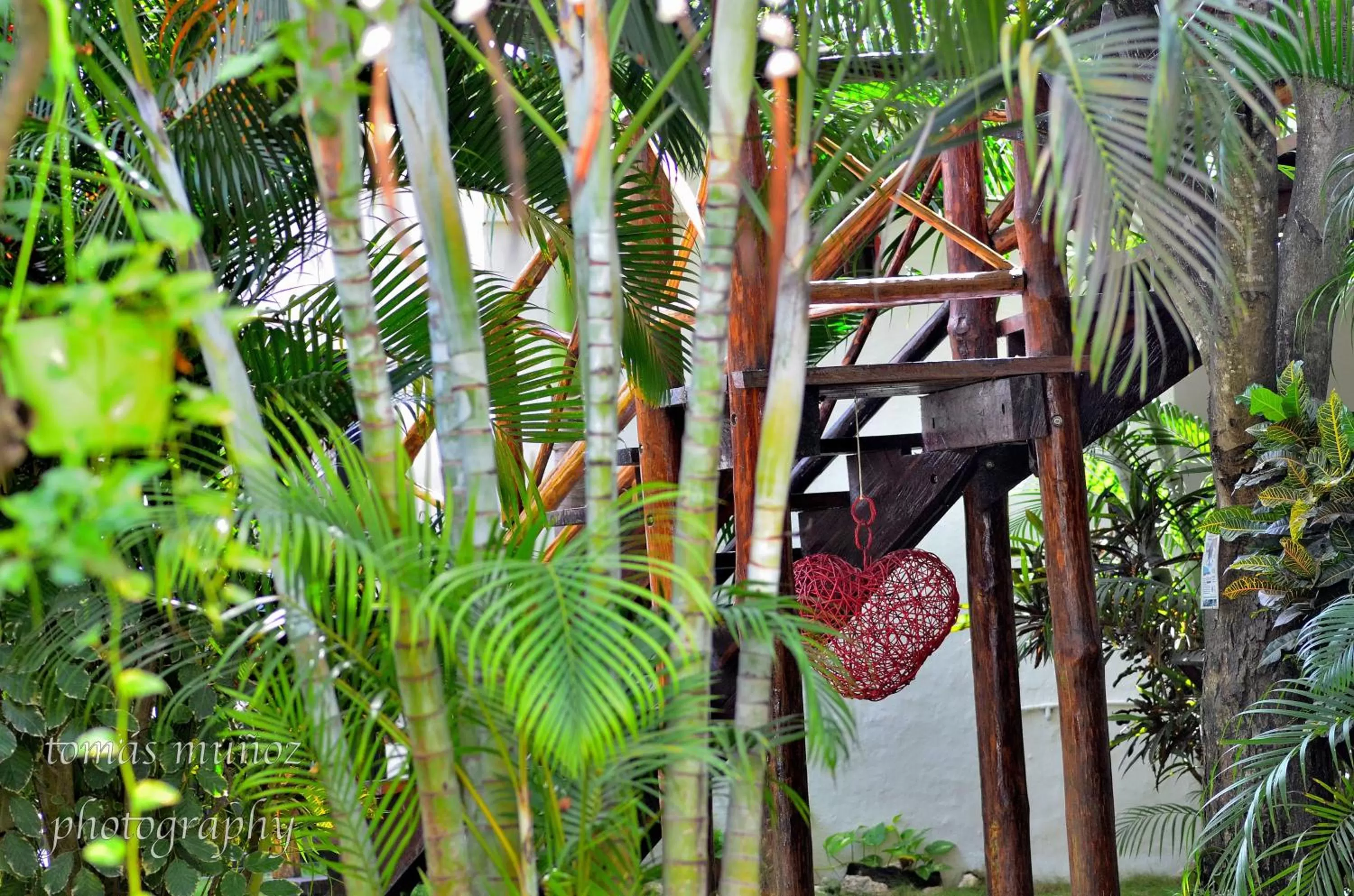 Garden in Pacha Tulum Boutique Hotel