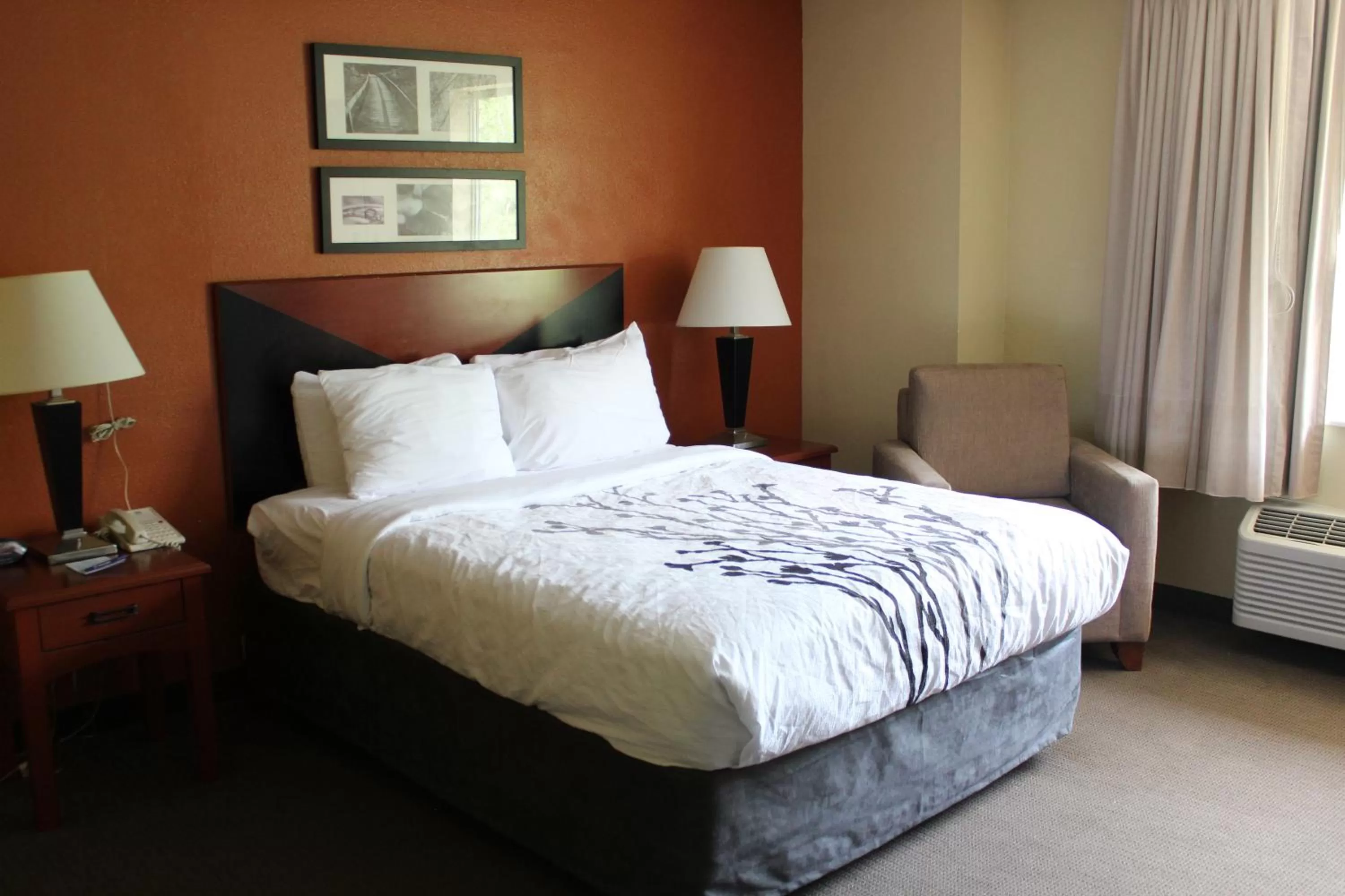 Queen Room - Disability Access/Non-Smoking in Sleep Inn Mt Pleasant - Charleston