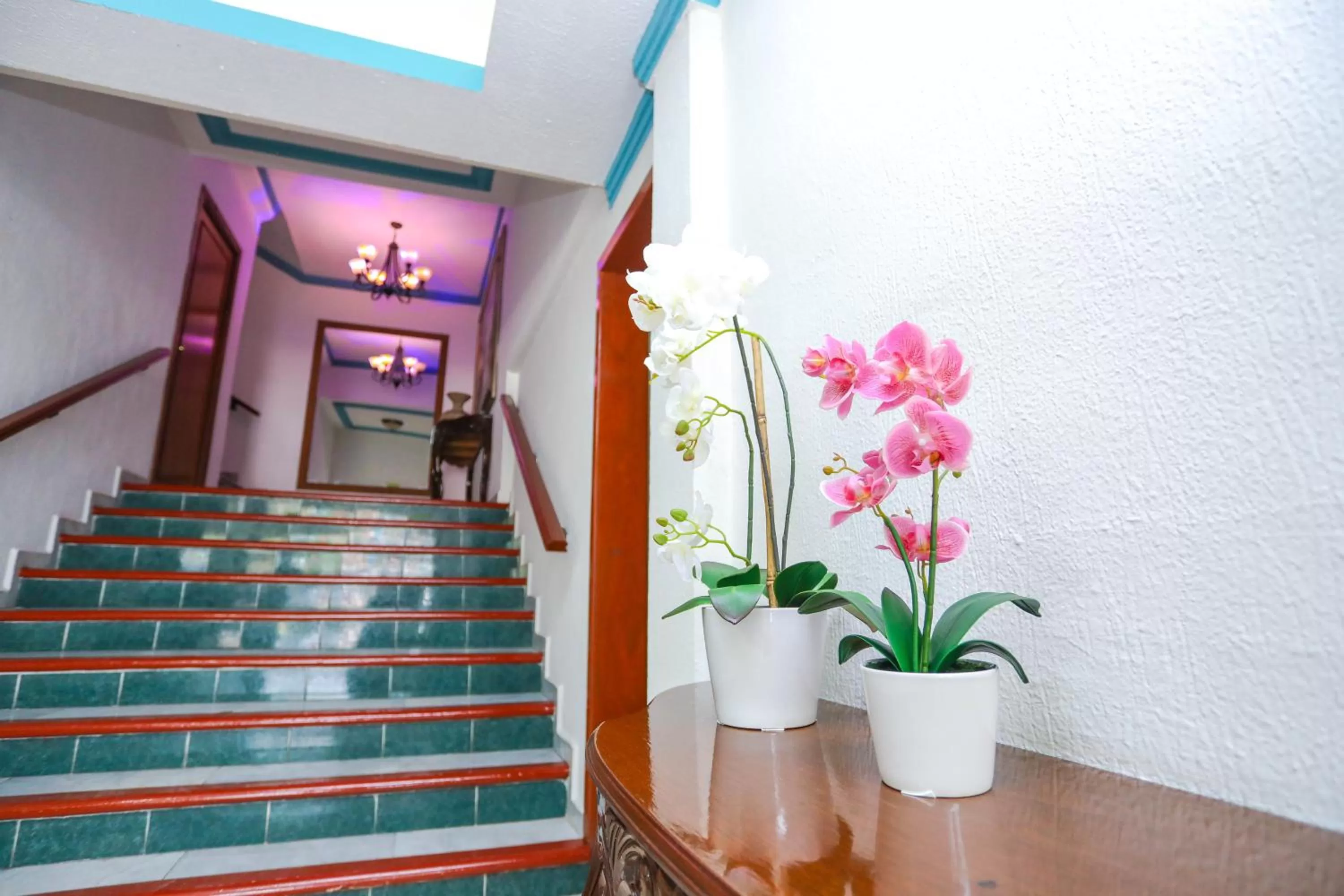 Lobby or reception in Hotel Avenida Cancun