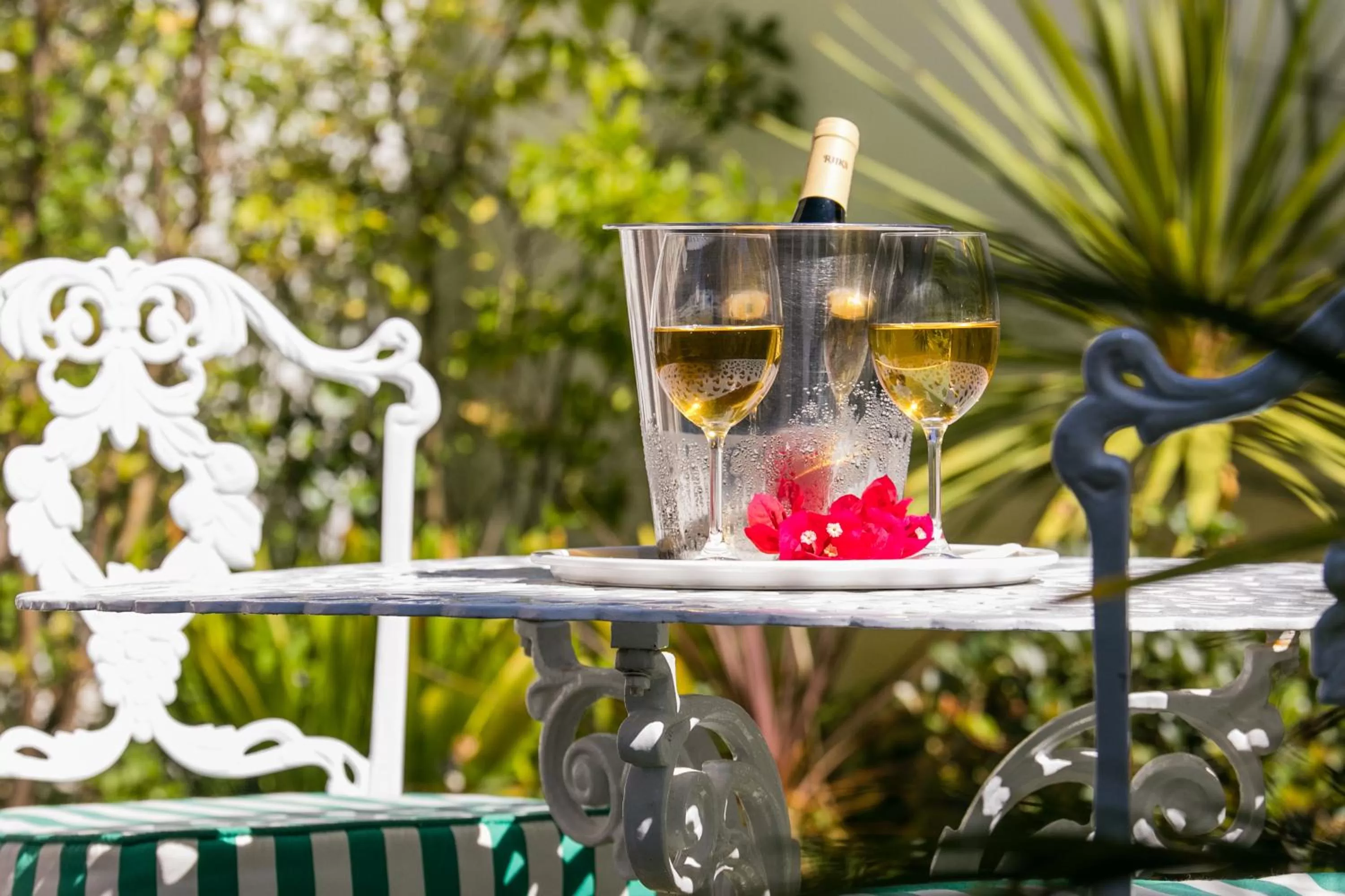 Garden in St. James of Knysna