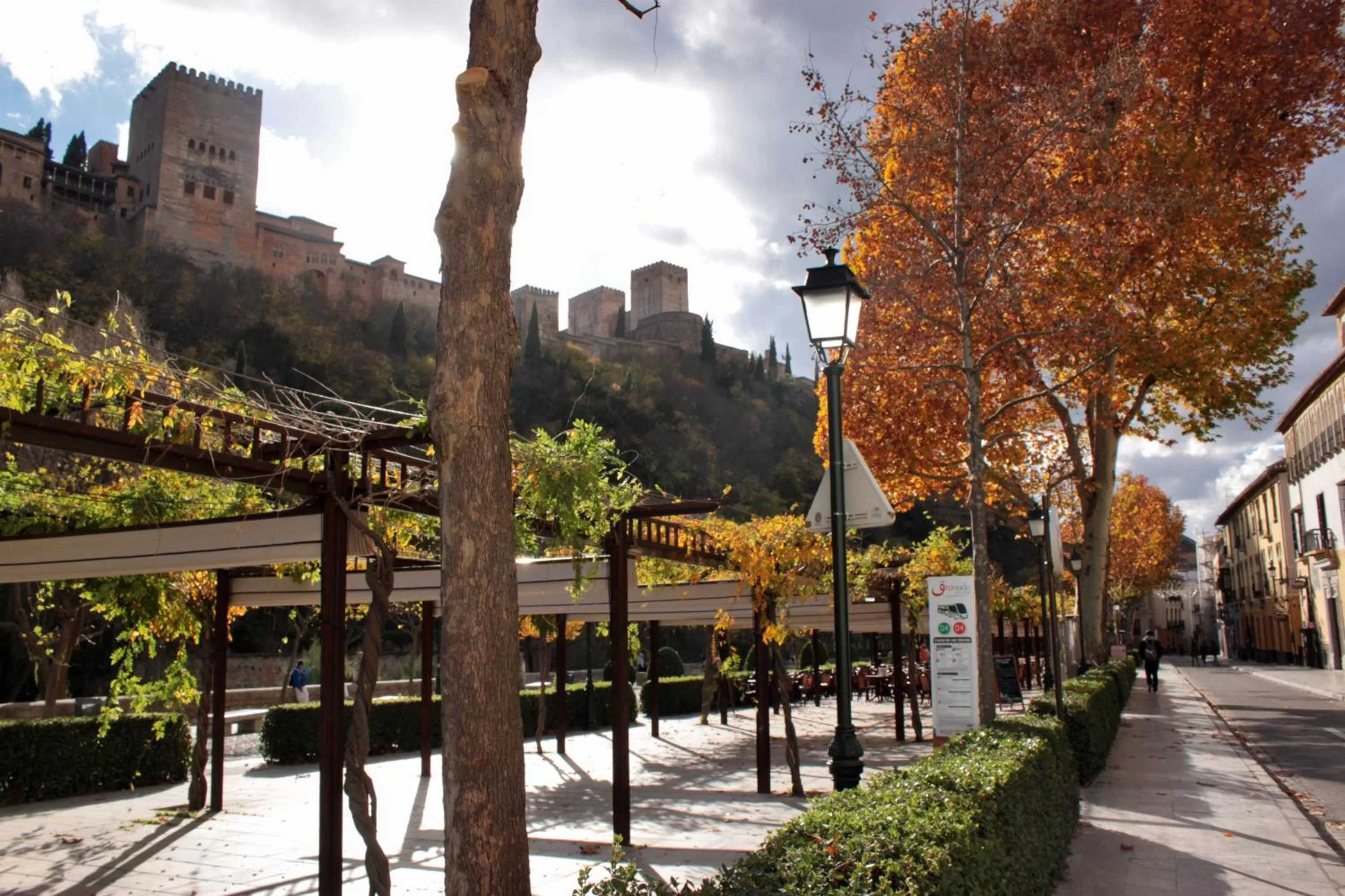 Day in Suite Comares