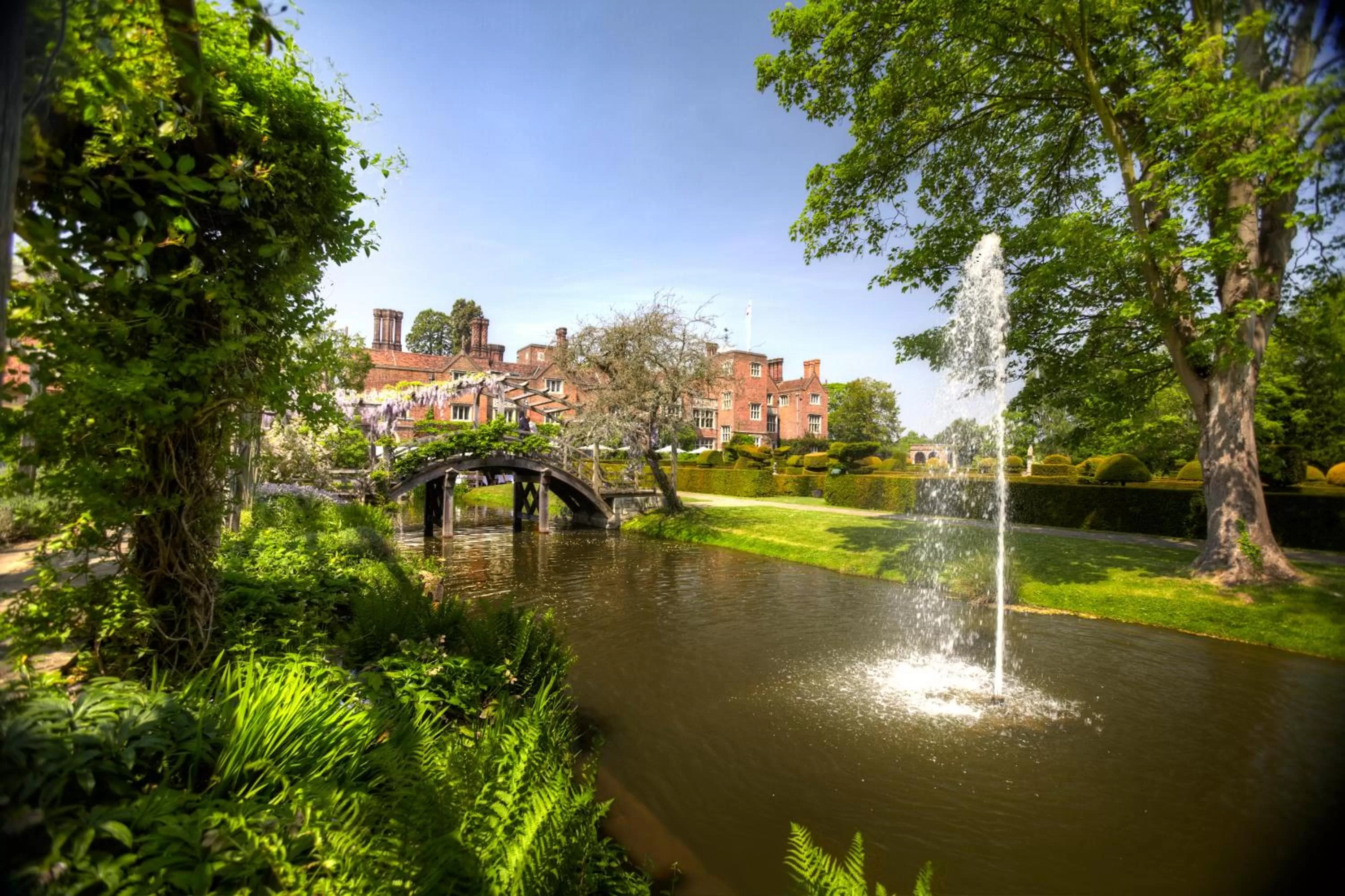 Natural landscape in Great Fosters - Near Windsor