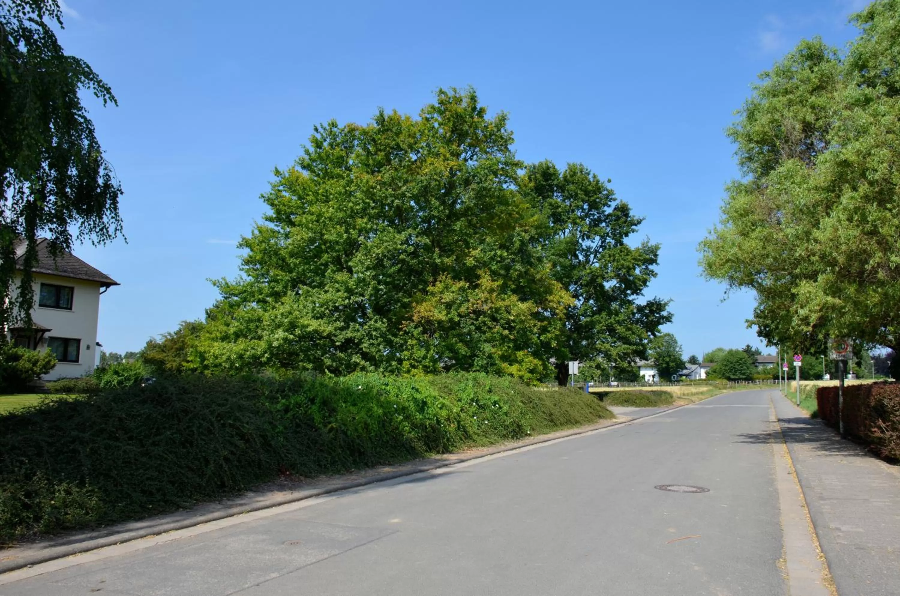 Day in Landhotel Sulzbacher Hof