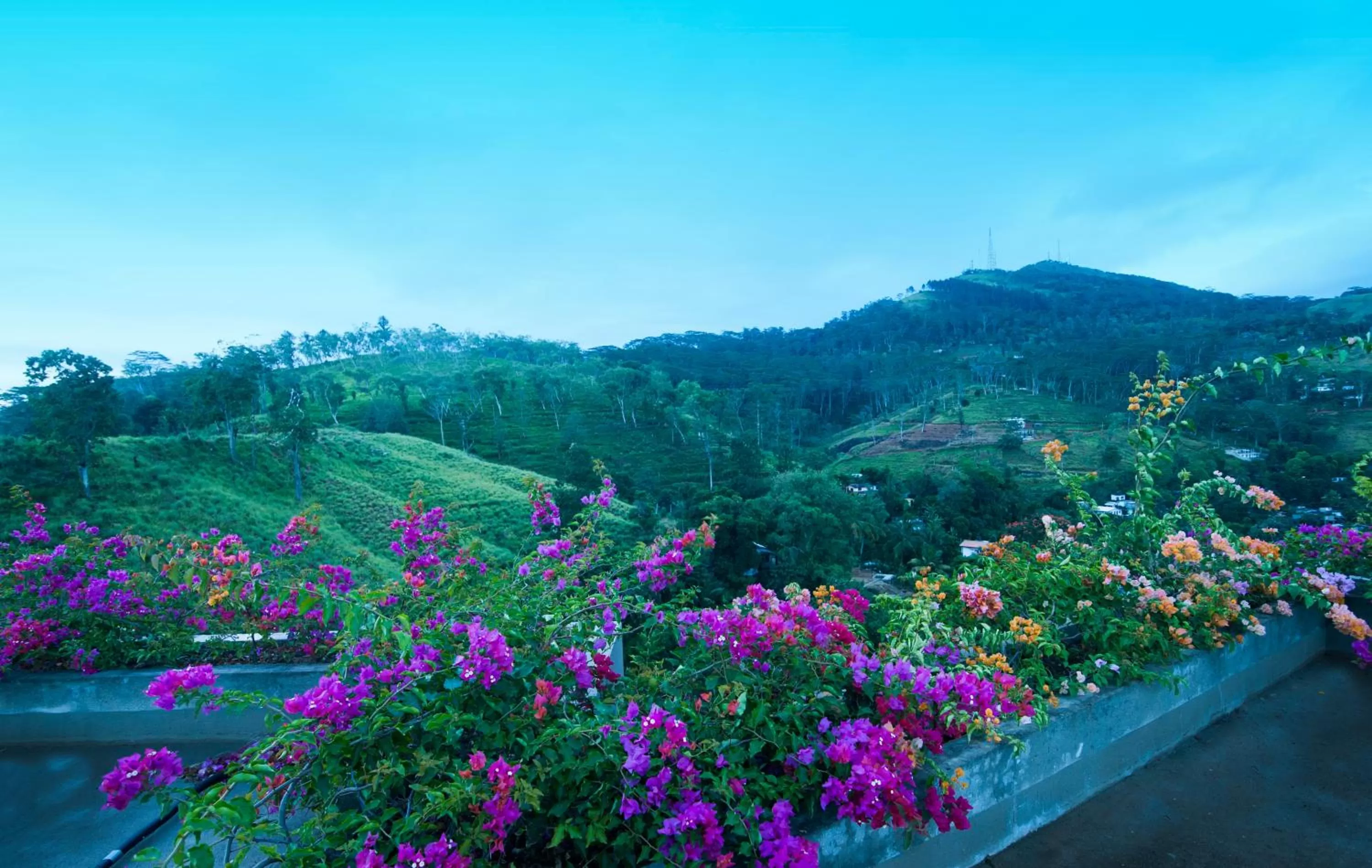 Garden view in Skyloft Kandy by Aaradhya