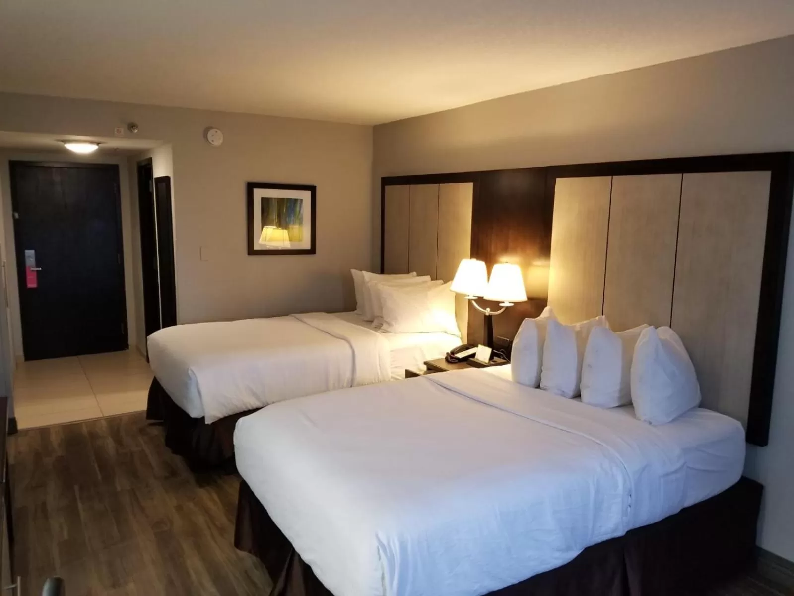 Bed in Wyndham Garden Hotel - Jacksonville